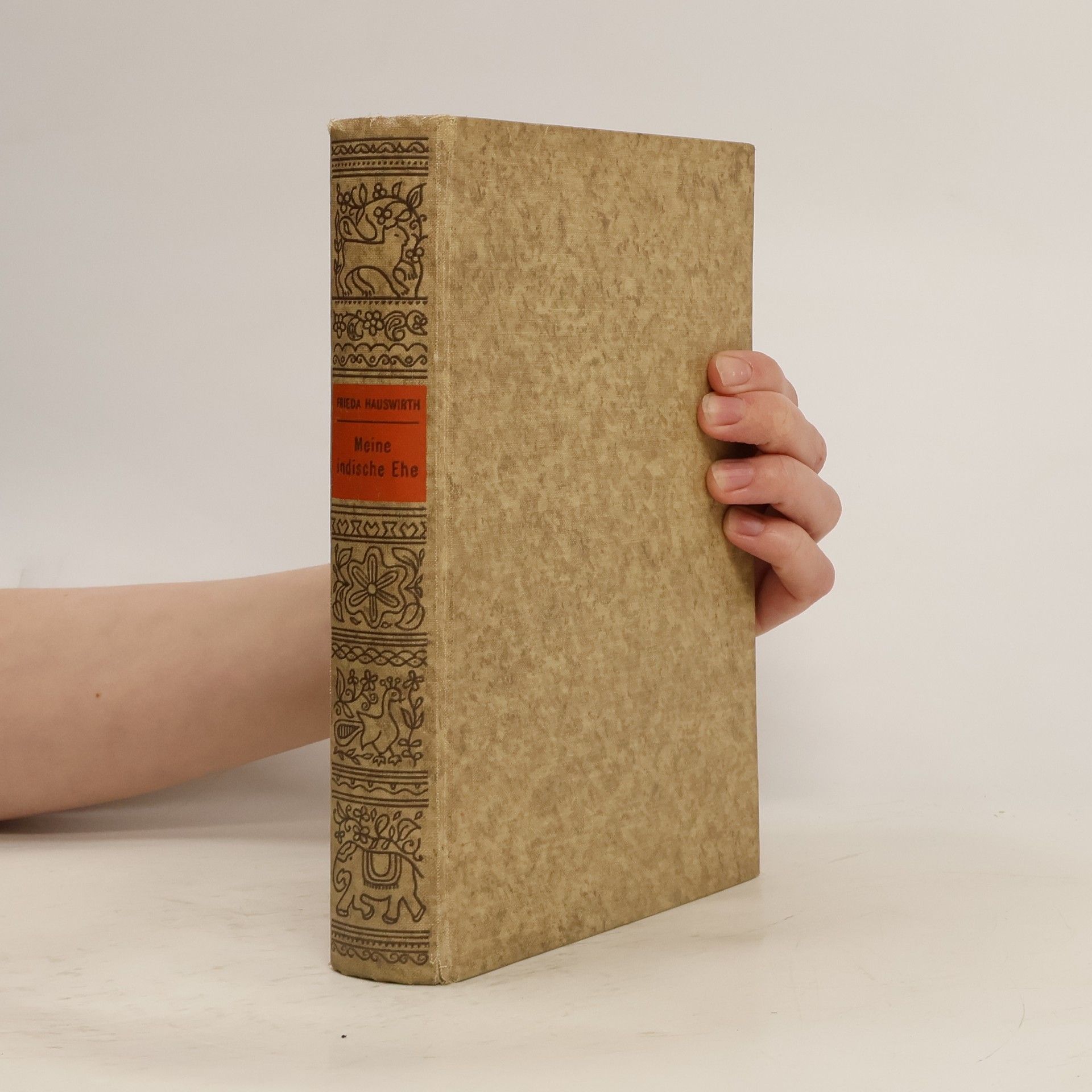 Frieda Hauswirth Meine indische Ehe