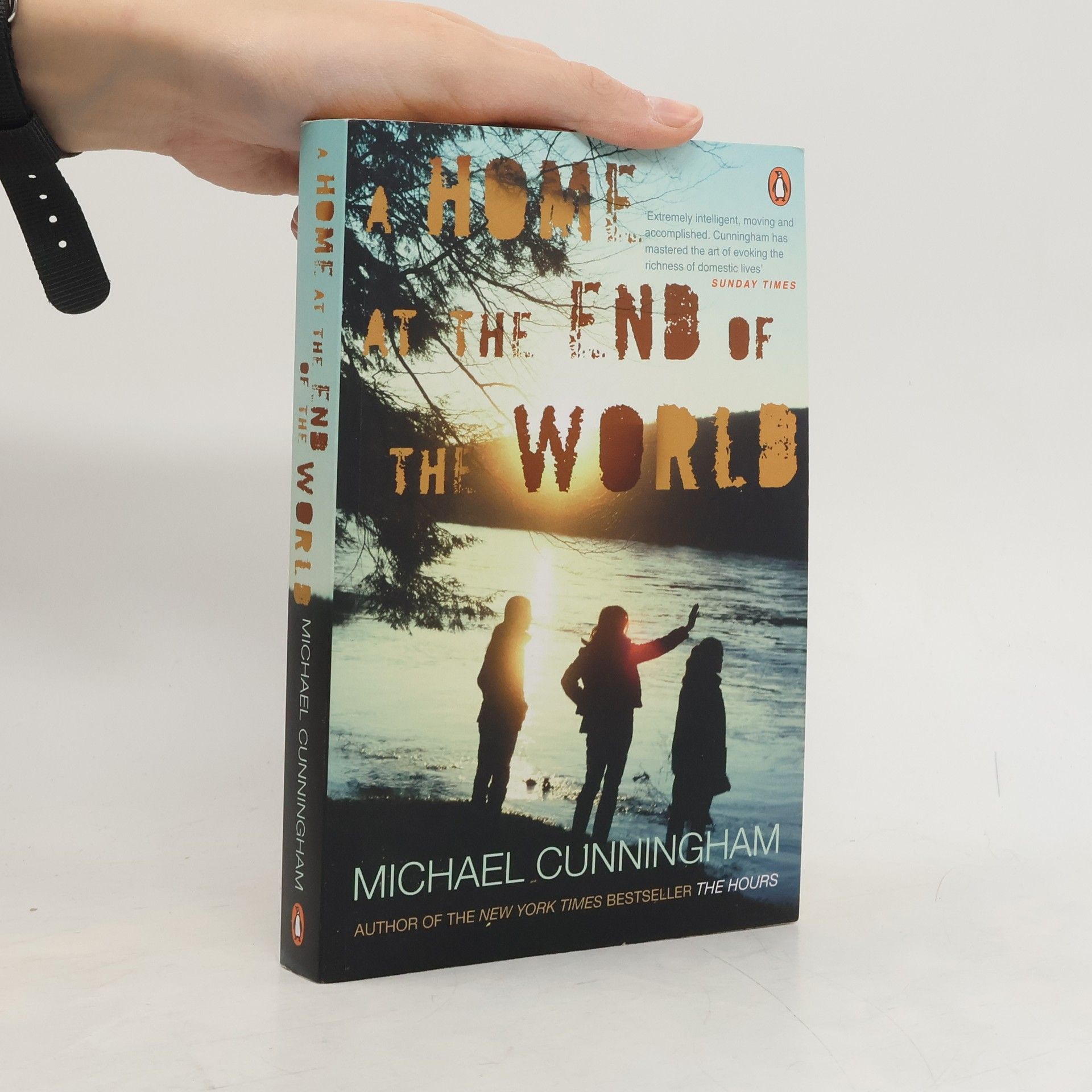 Michael Cunningham A Home at the End of the World