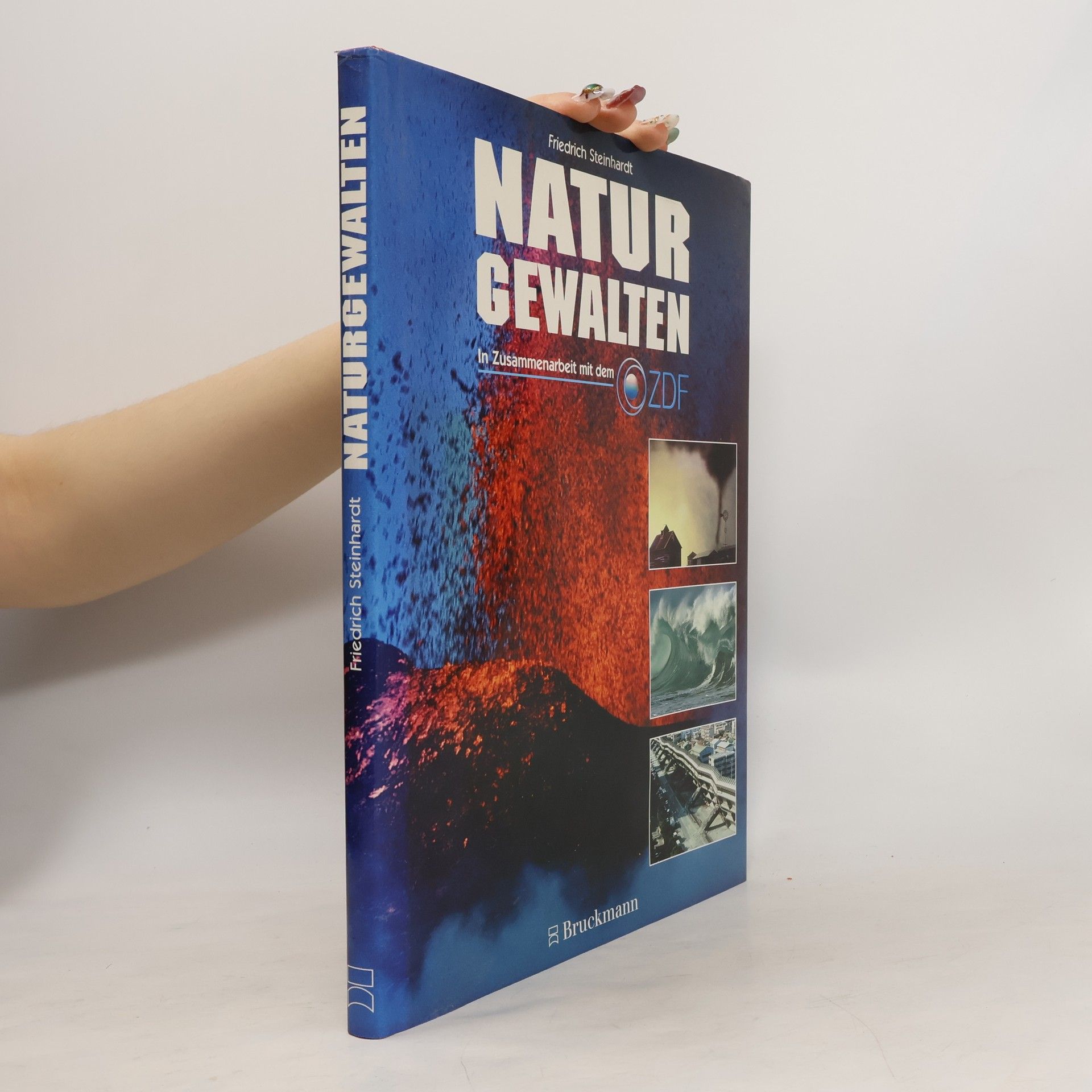 Friedrich Steinhardt Naturgewalten