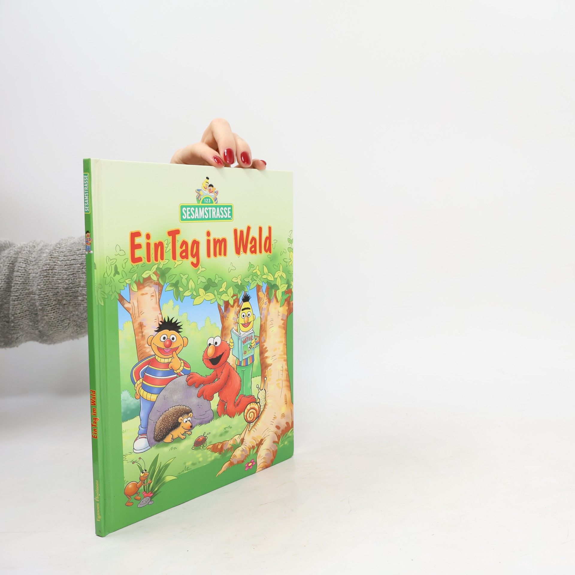 Collectif d'auteurs Ein Tag im Wald