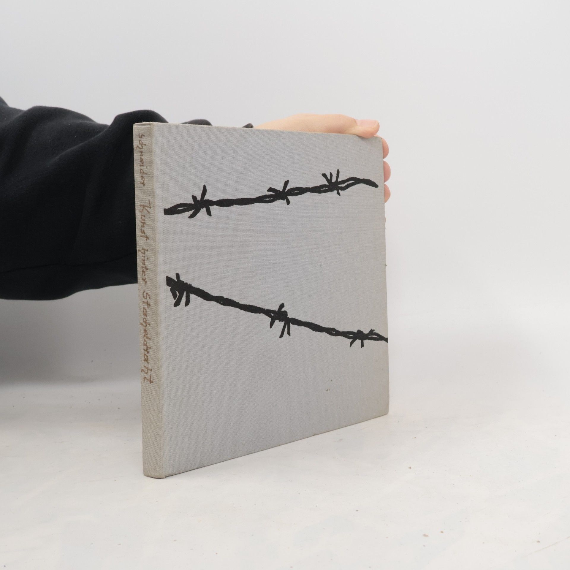 Wolfgang Schneider Kunst hinter Stacheldraht