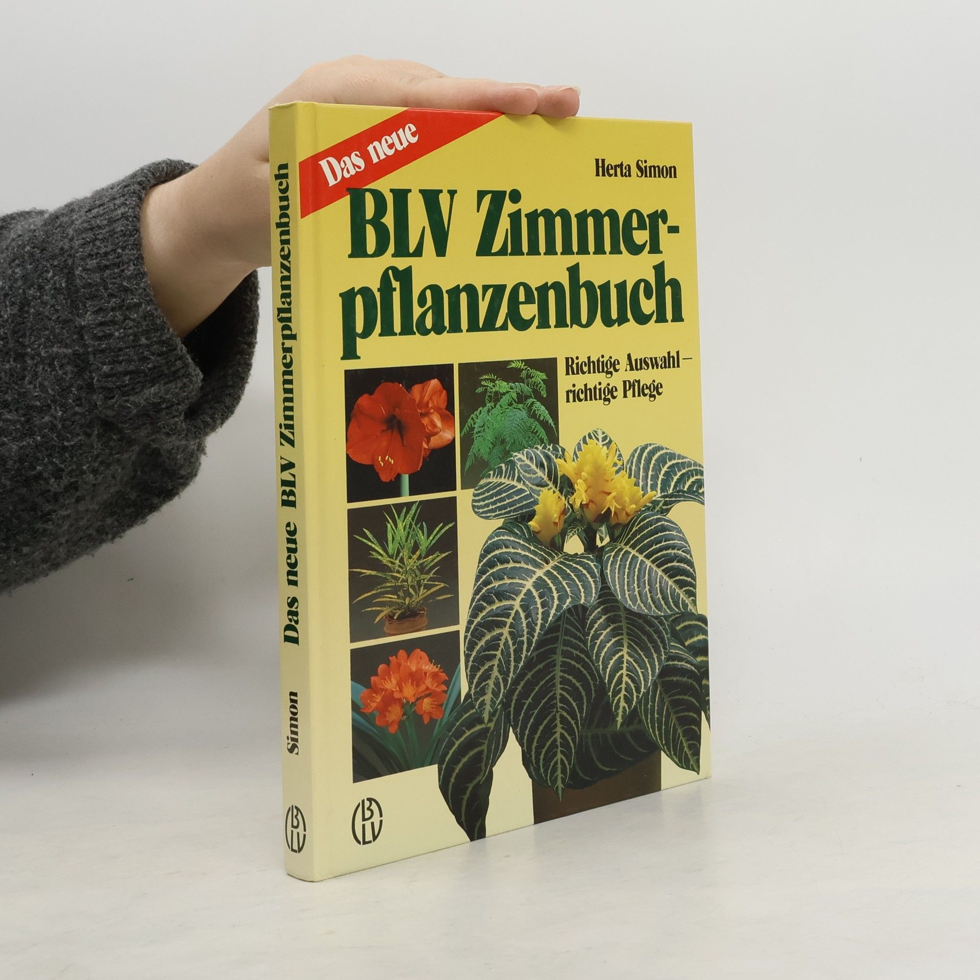 Herta Simon Das neue BLV-Zimmerpflanzenbuch
