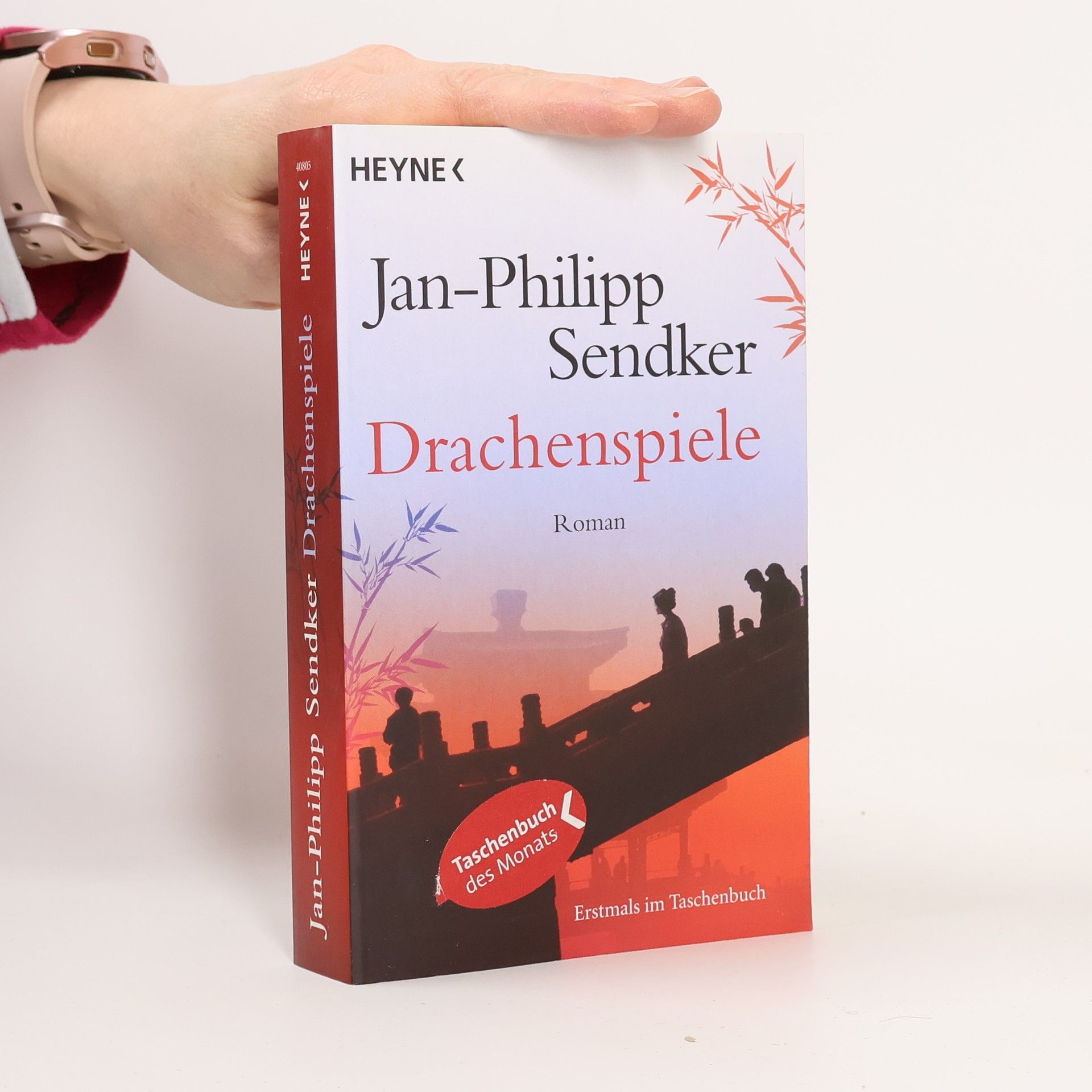 Jan-Philipp Sendker Drachenspiele