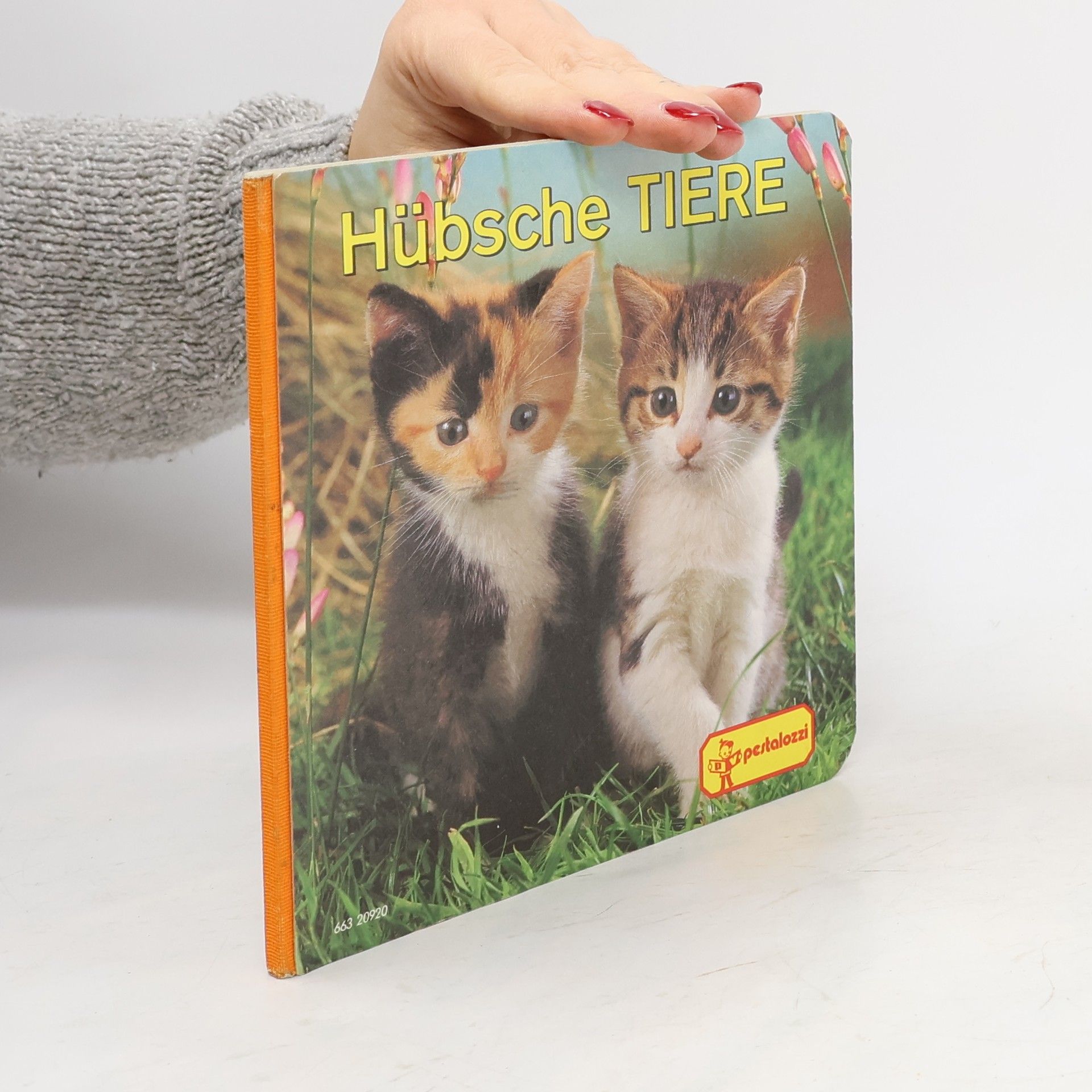 Autorenkollektiv Hübsche Tiere