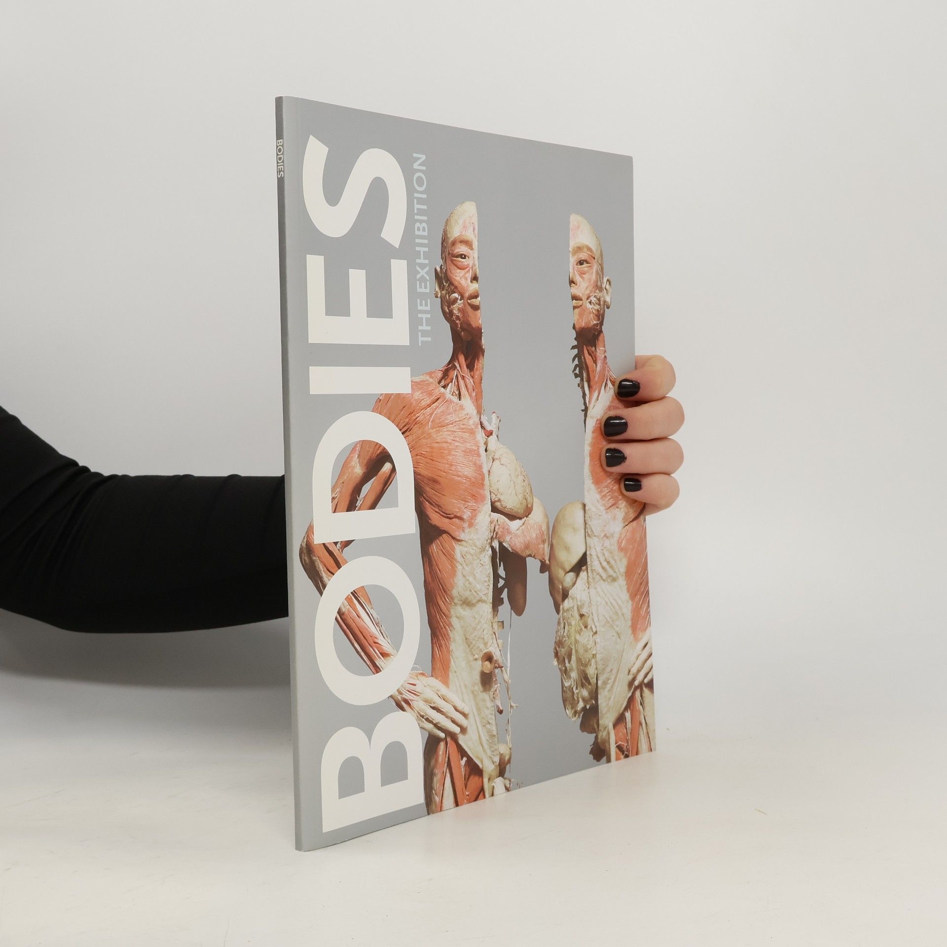 Bodies The Exhibition