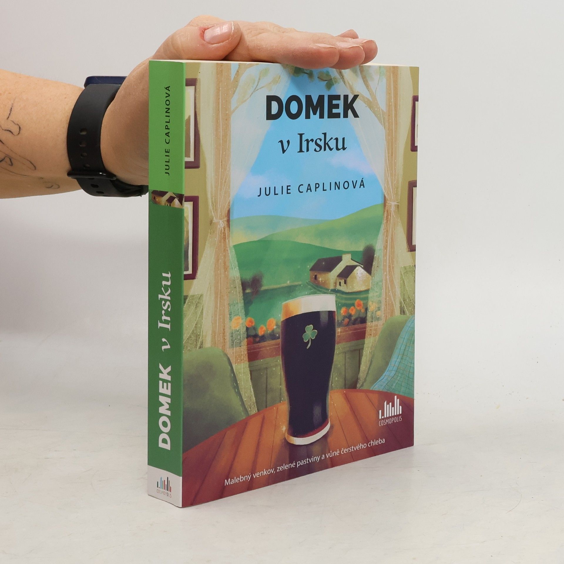 Julie Caplin Domek v Irsku