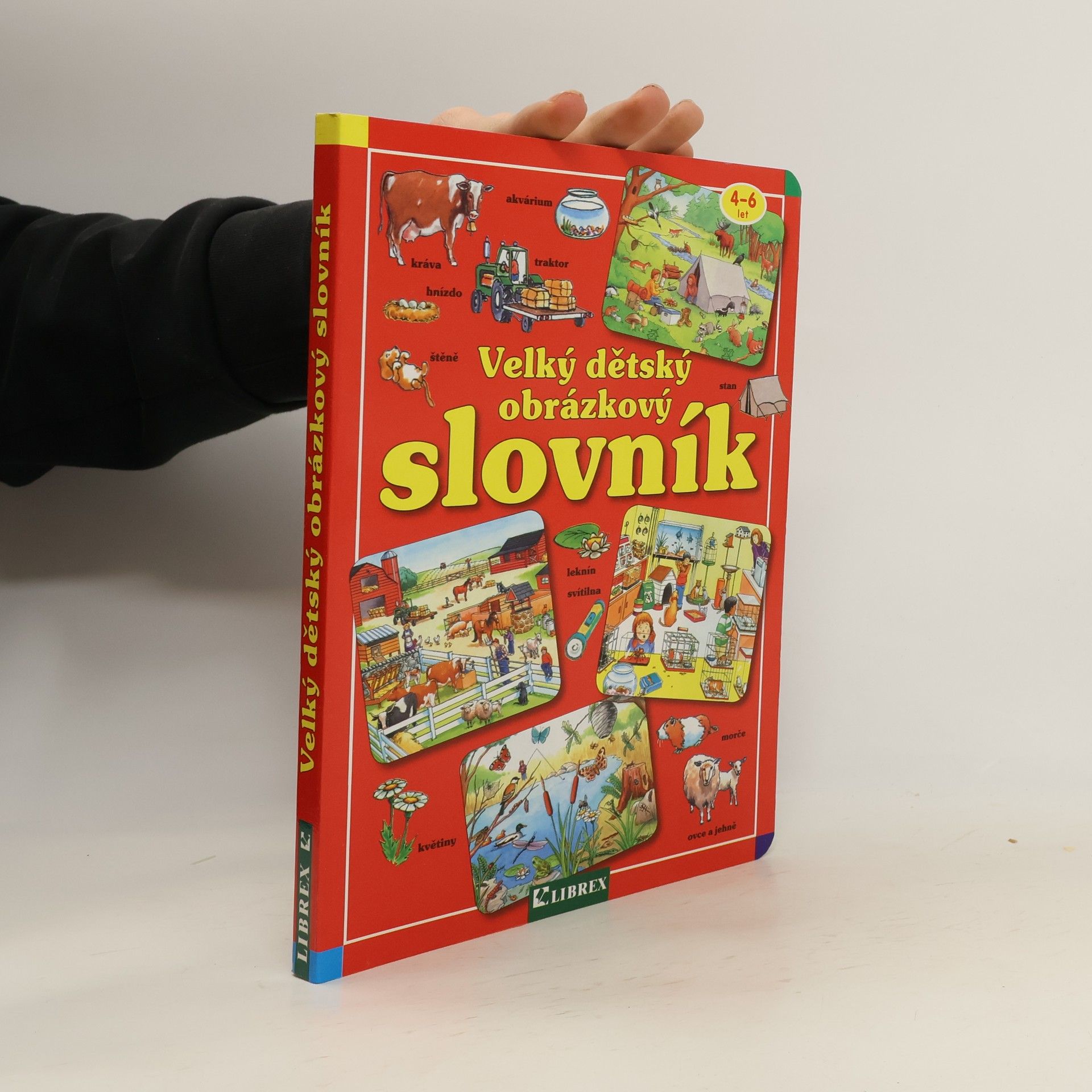 Kolektiv autorů Velký dětský obrázkový slovník