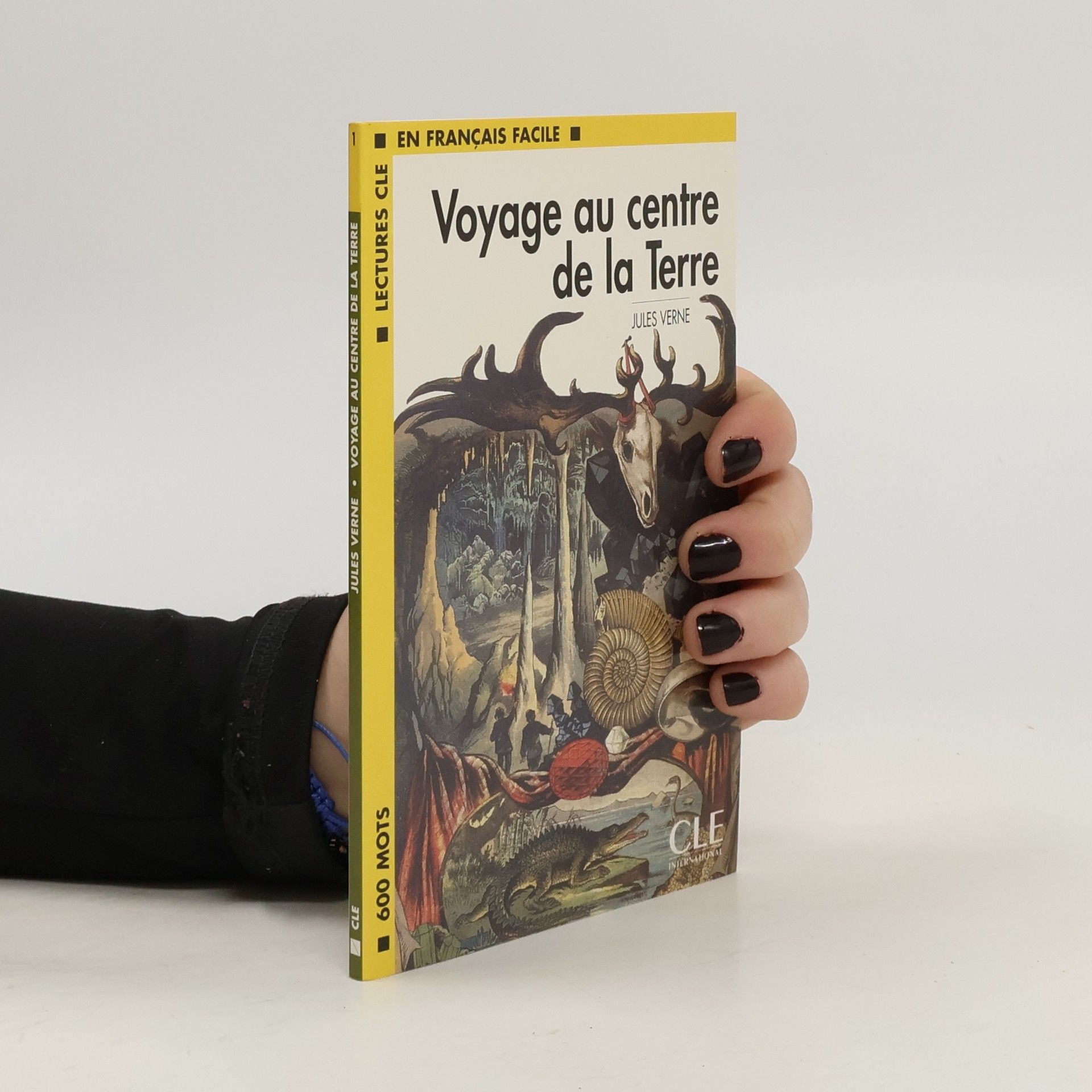 Jules Verne Voyage au centre de la Terre