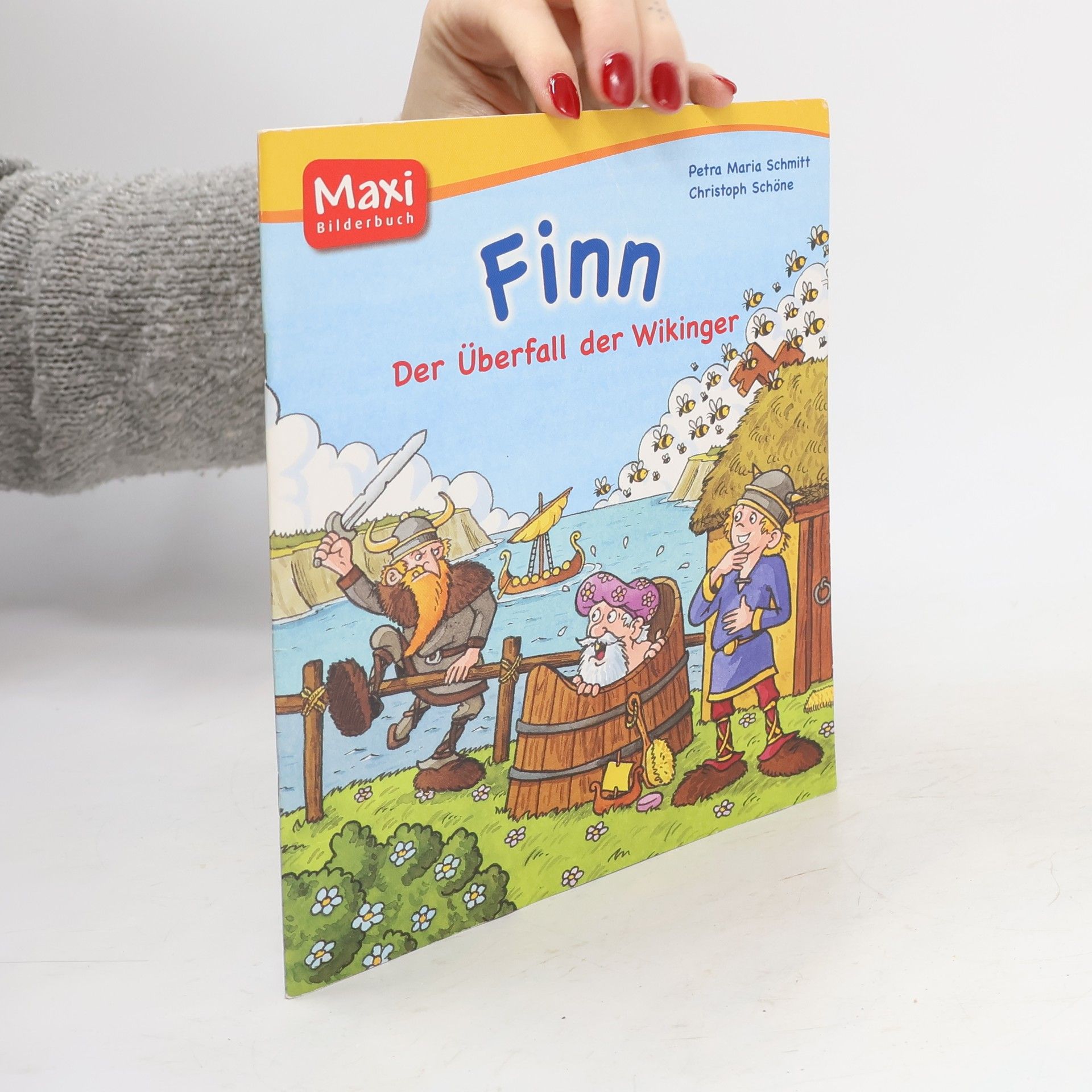 Finn - Der Überfall der Wikinger