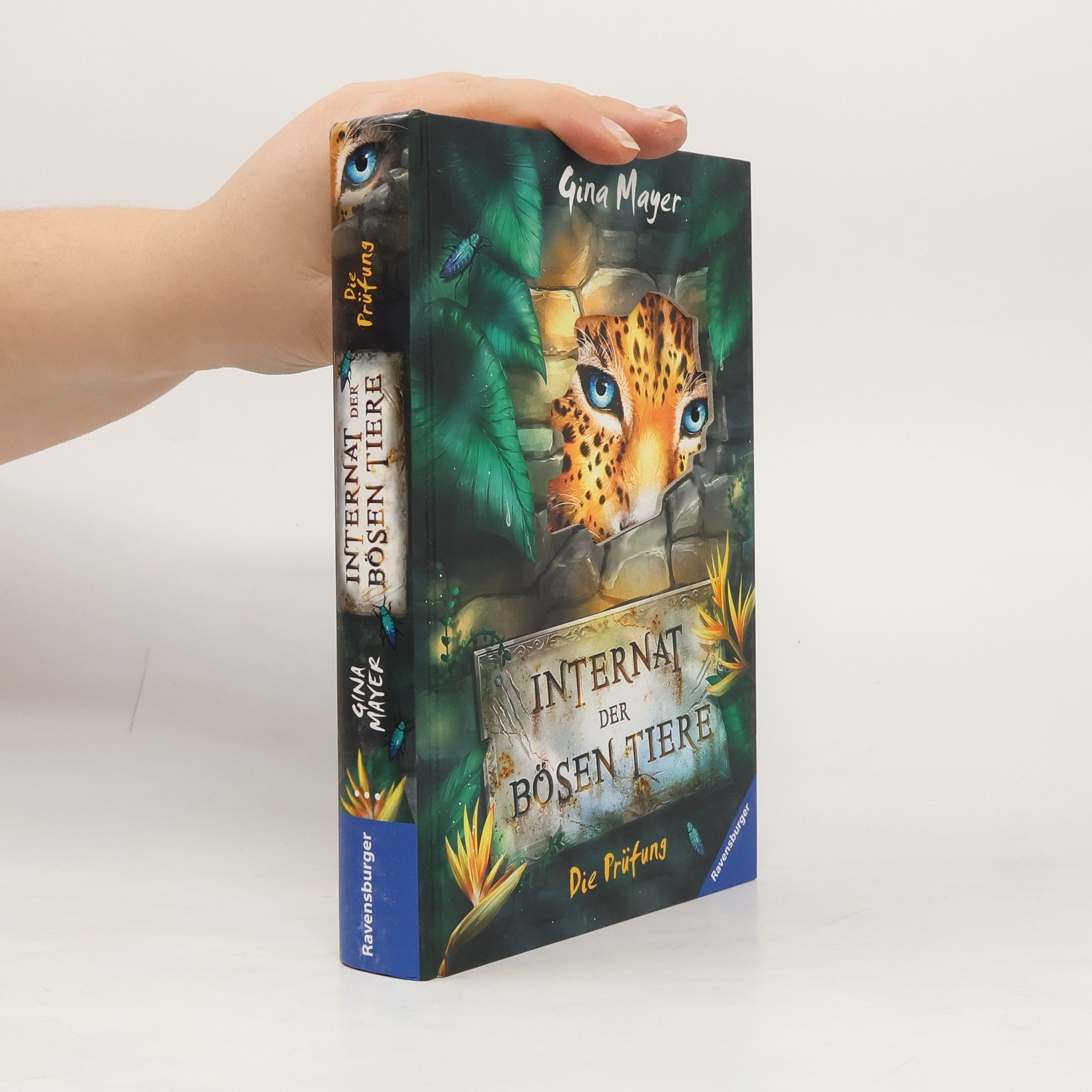 Gina Mayer Das Internat der bösen Tiere