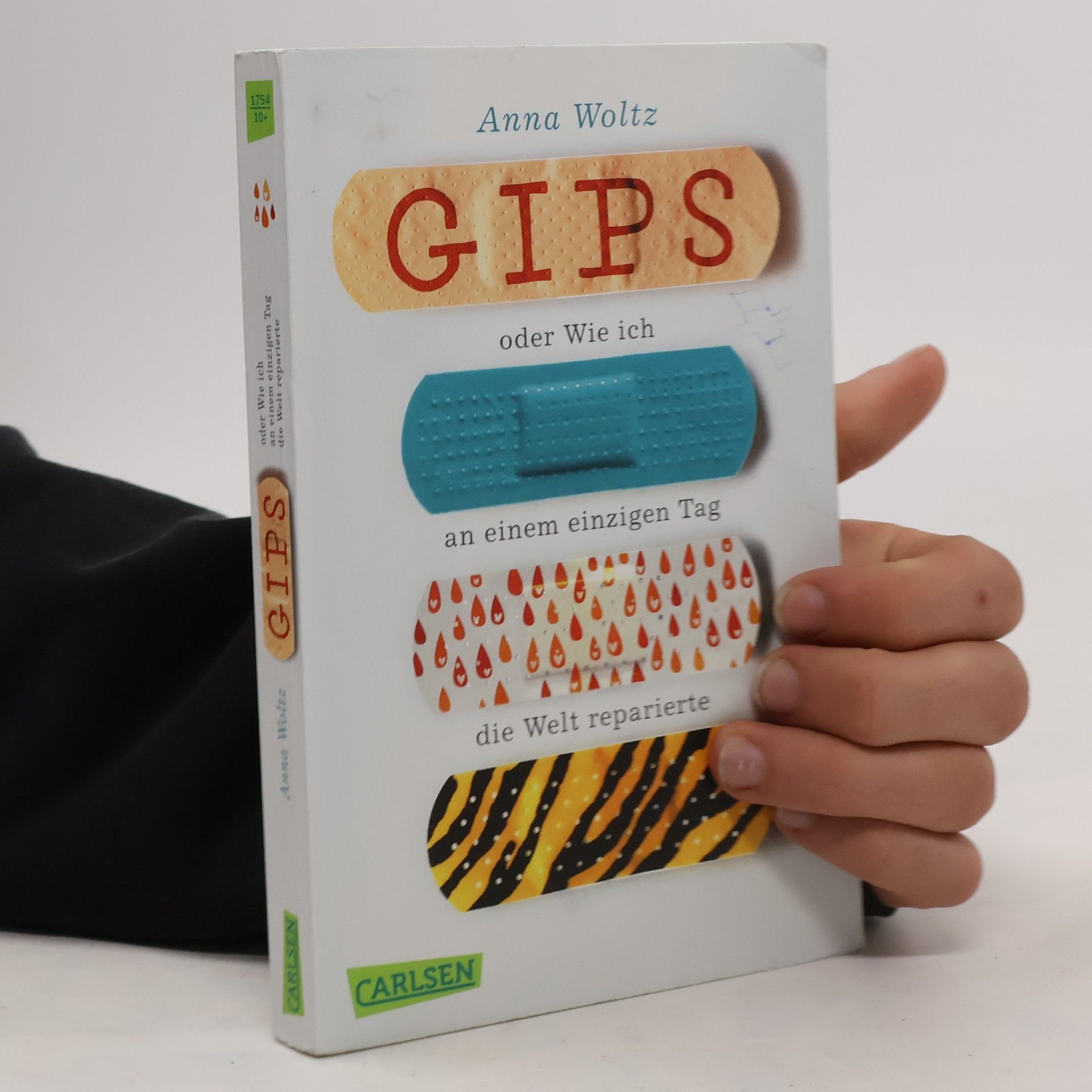 Gips oder Wie ich an einem einzigen Tag die Welt reparierte