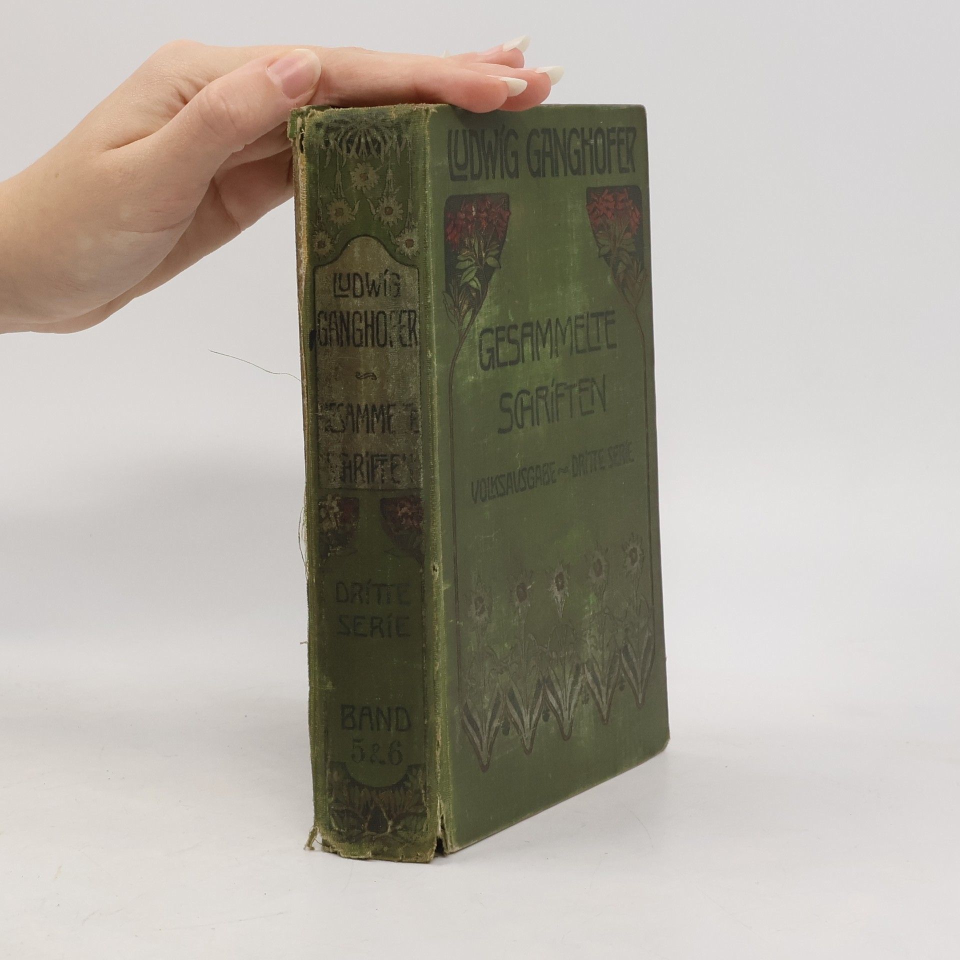 Ludwig Ganghofer Gesammelte Schriften 5 & 6