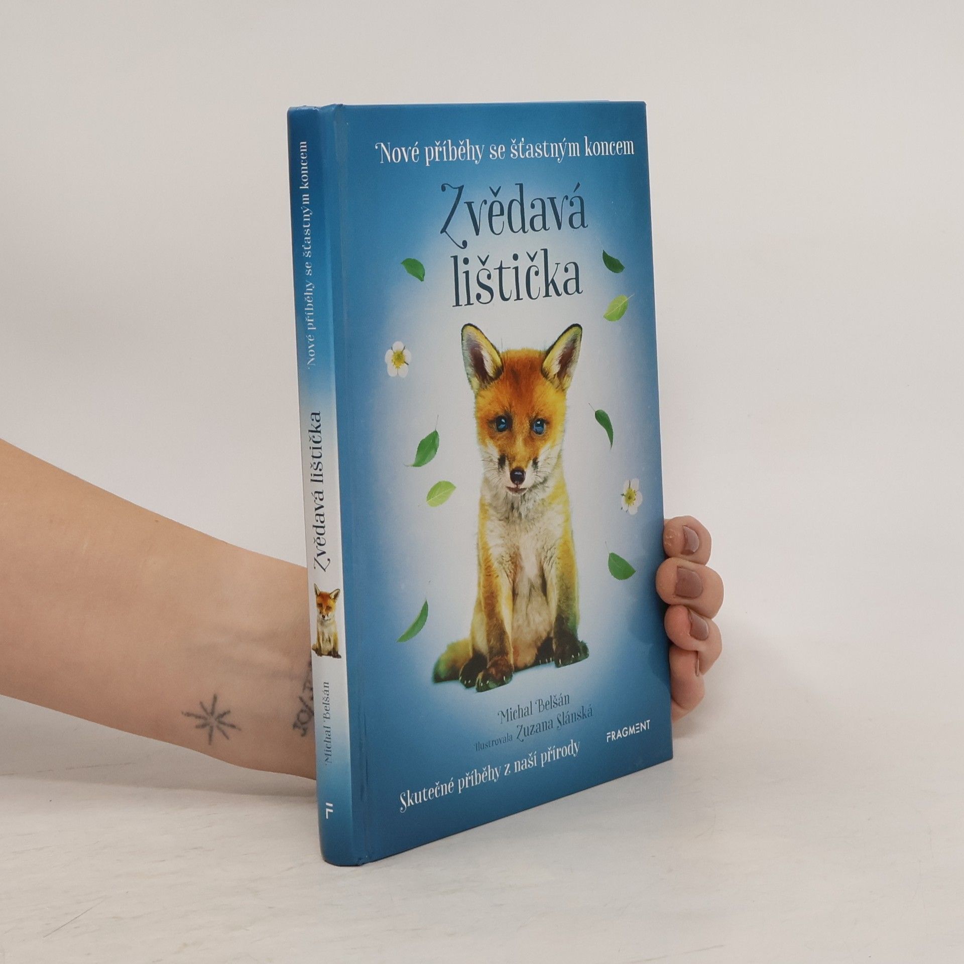 Zvědavá lištička