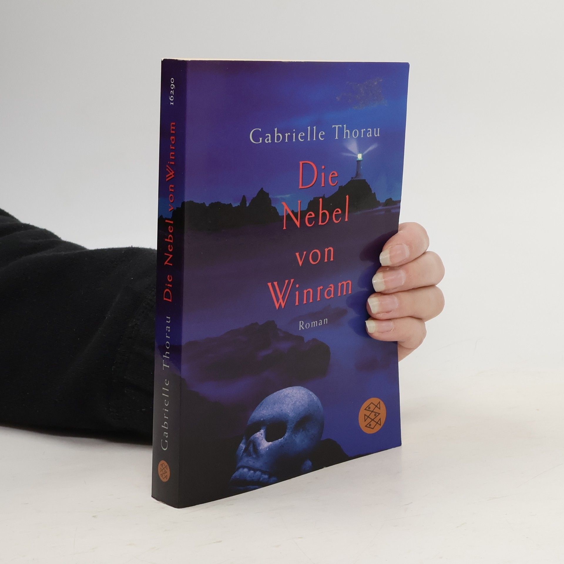 Gabrielle Thorau Die Nebel von Winram