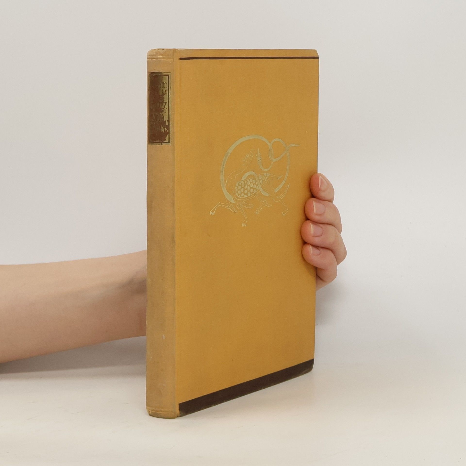 Džung Kue aneb vítěz nad ďábly