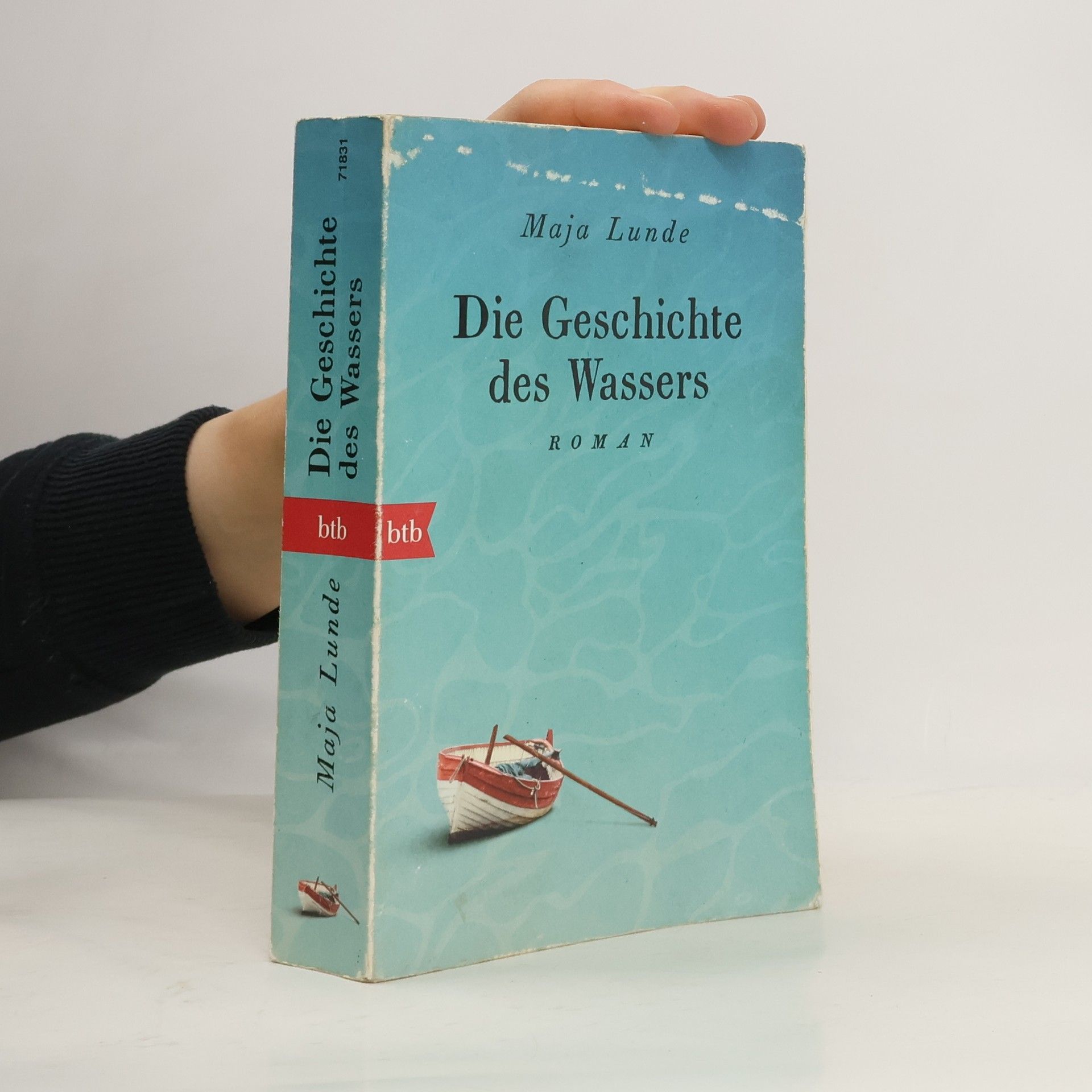 Die Geschichte des Wassers : Roman