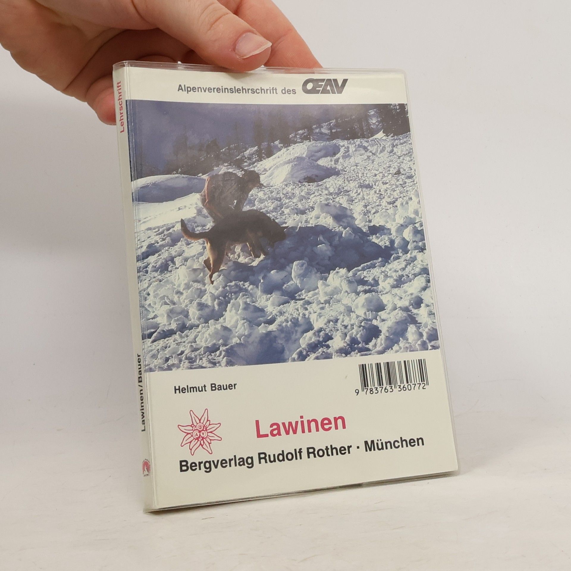 Helmut Bauer Lawinen