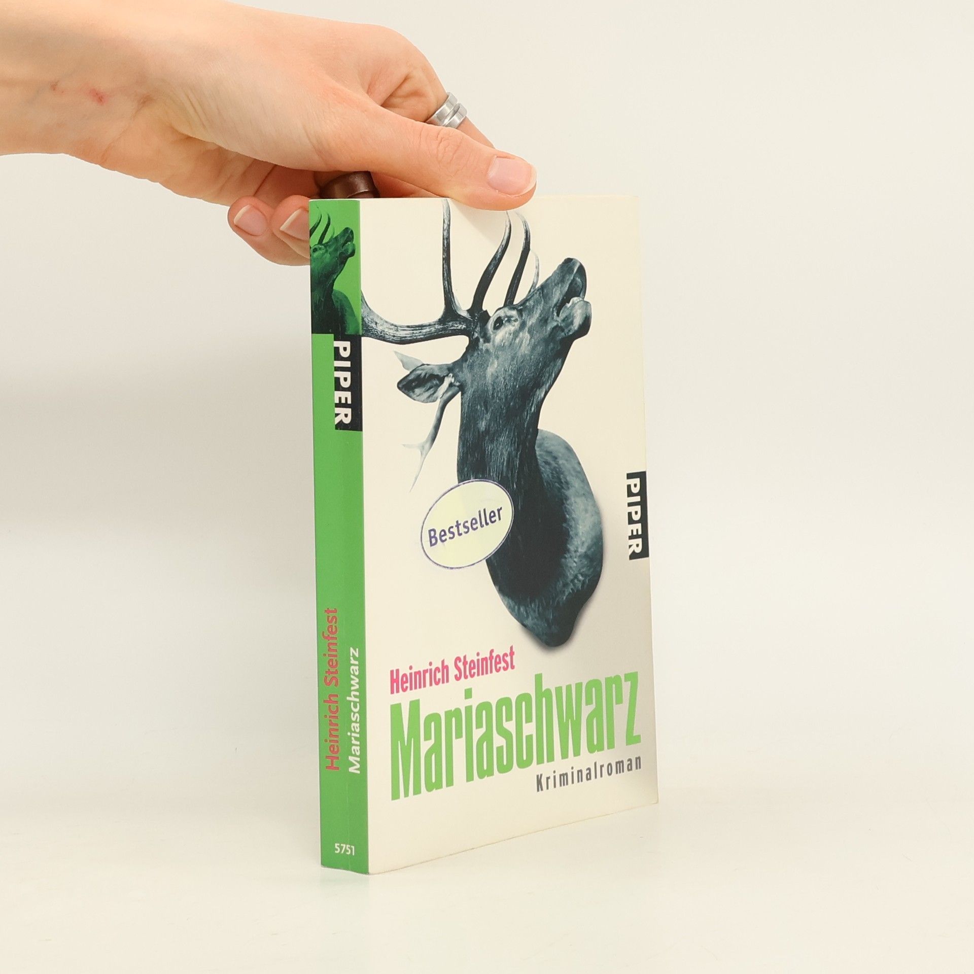 Heinrich Steinfest Mariaschwarz