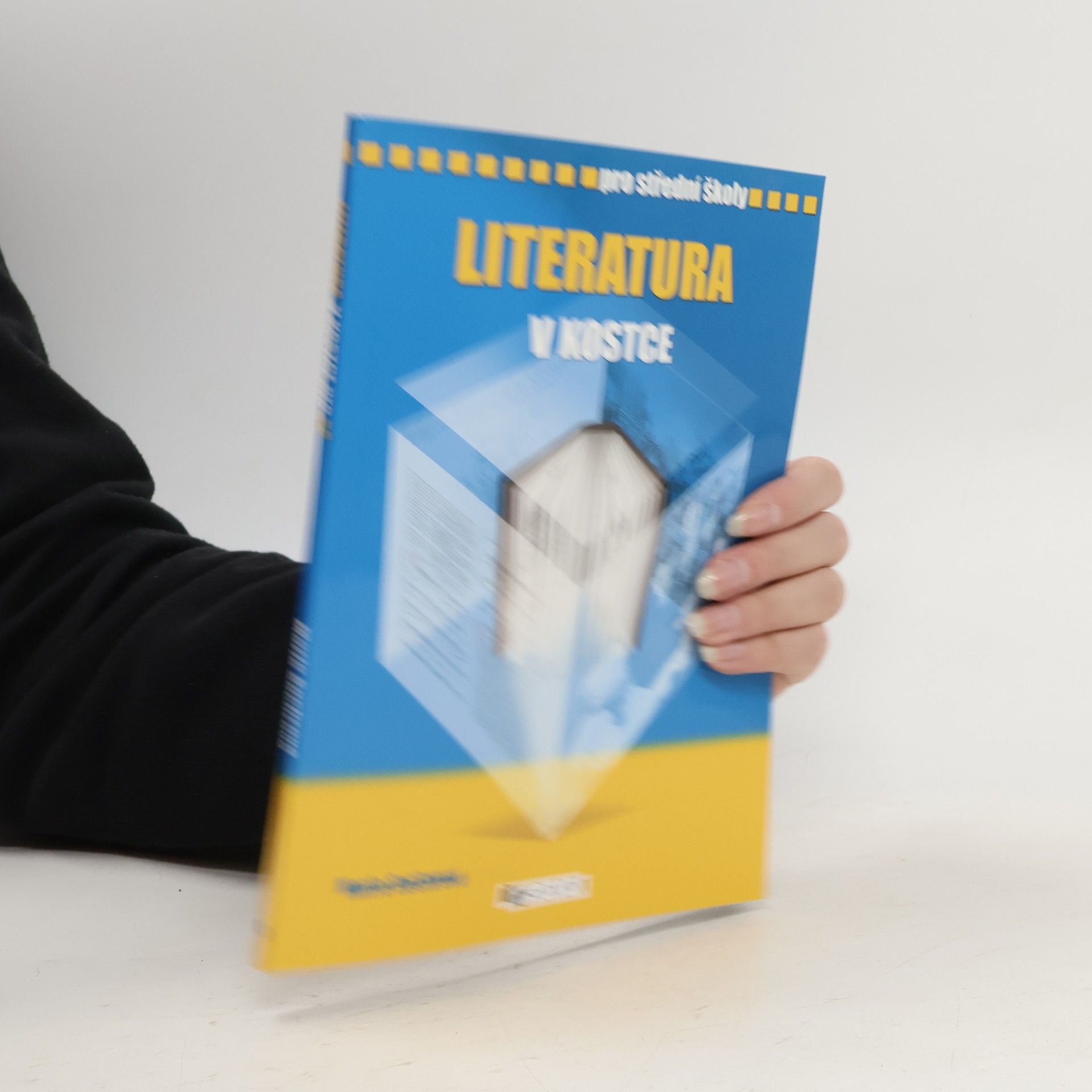 Marie Sochrová Literatura v kostce : pro střední školy