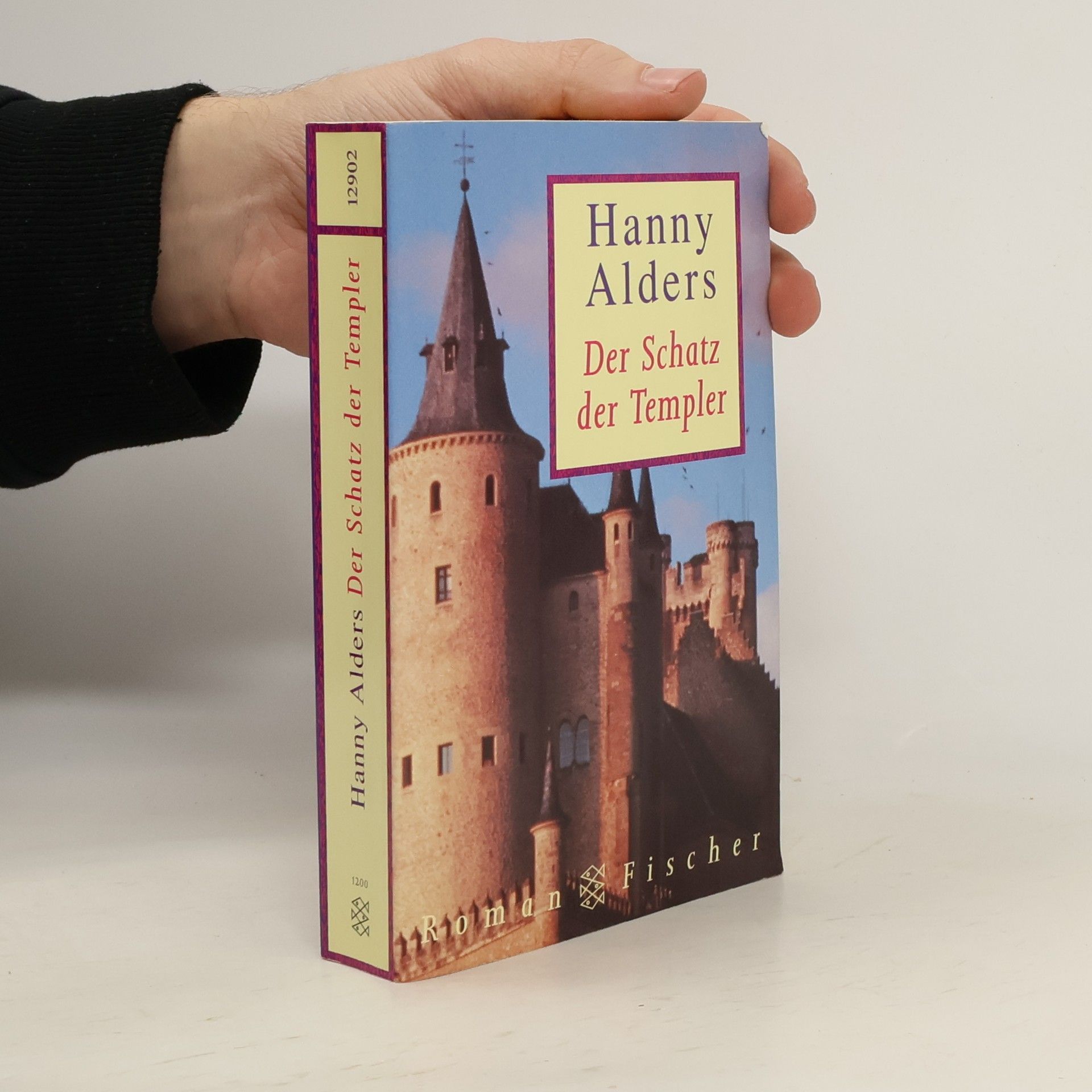 Hanny Alders Der Schatz der Templer