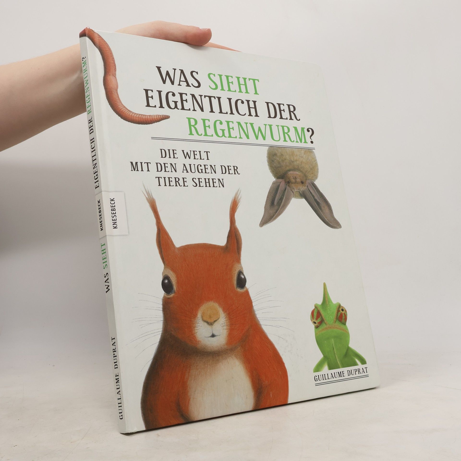 Guillaume Duprat Was sieht eigentlich der Regenwurm?