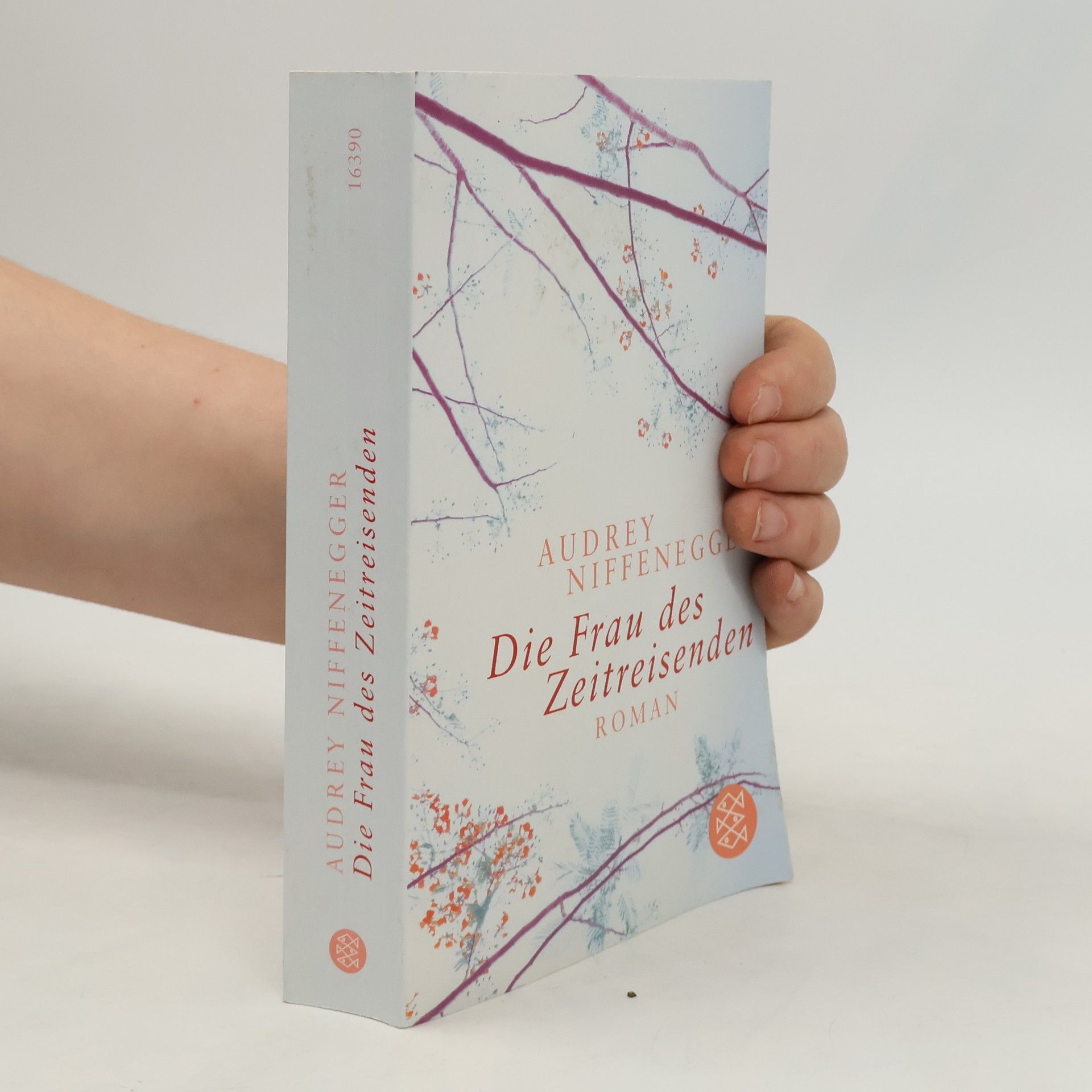 Die Frau des Zeitreisenden