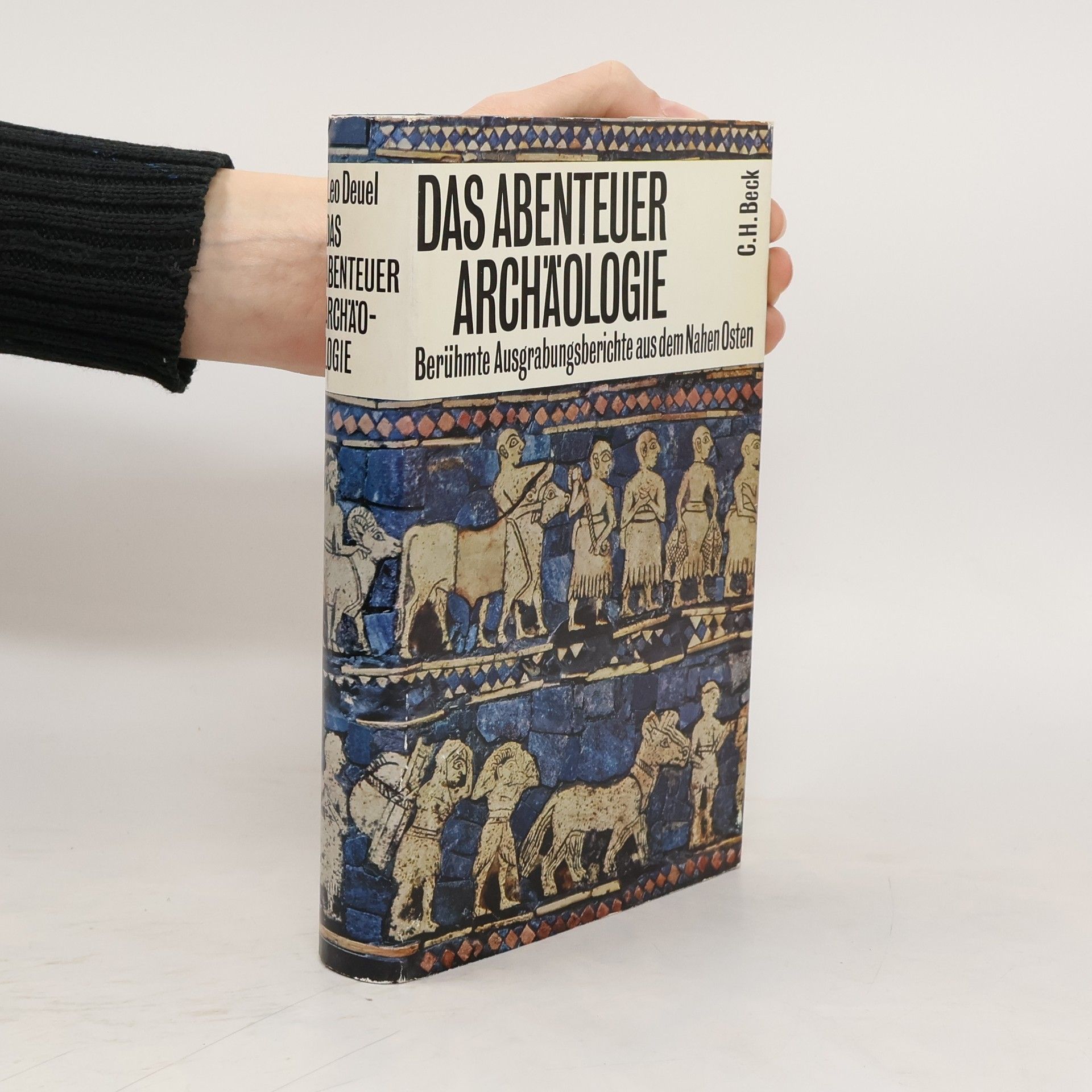 Kolektív autorov Das Abenteuer Archäologie