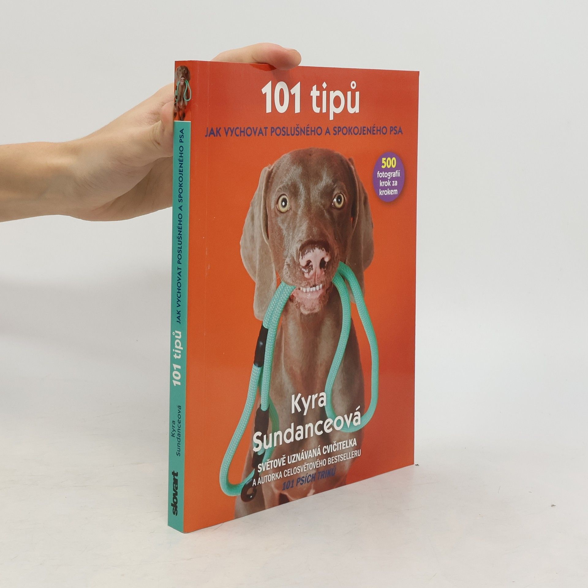 Kyra Sundance 101 tipů jak vychovat poslušného a spokojeného psa