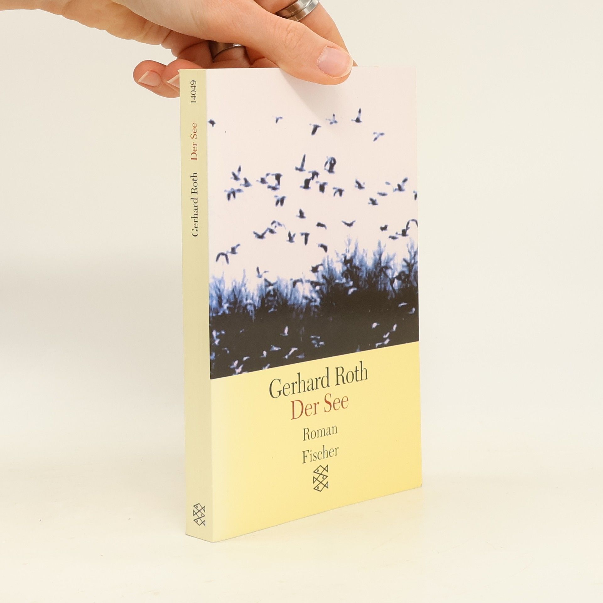 Gerhard Roth Der See : Roman