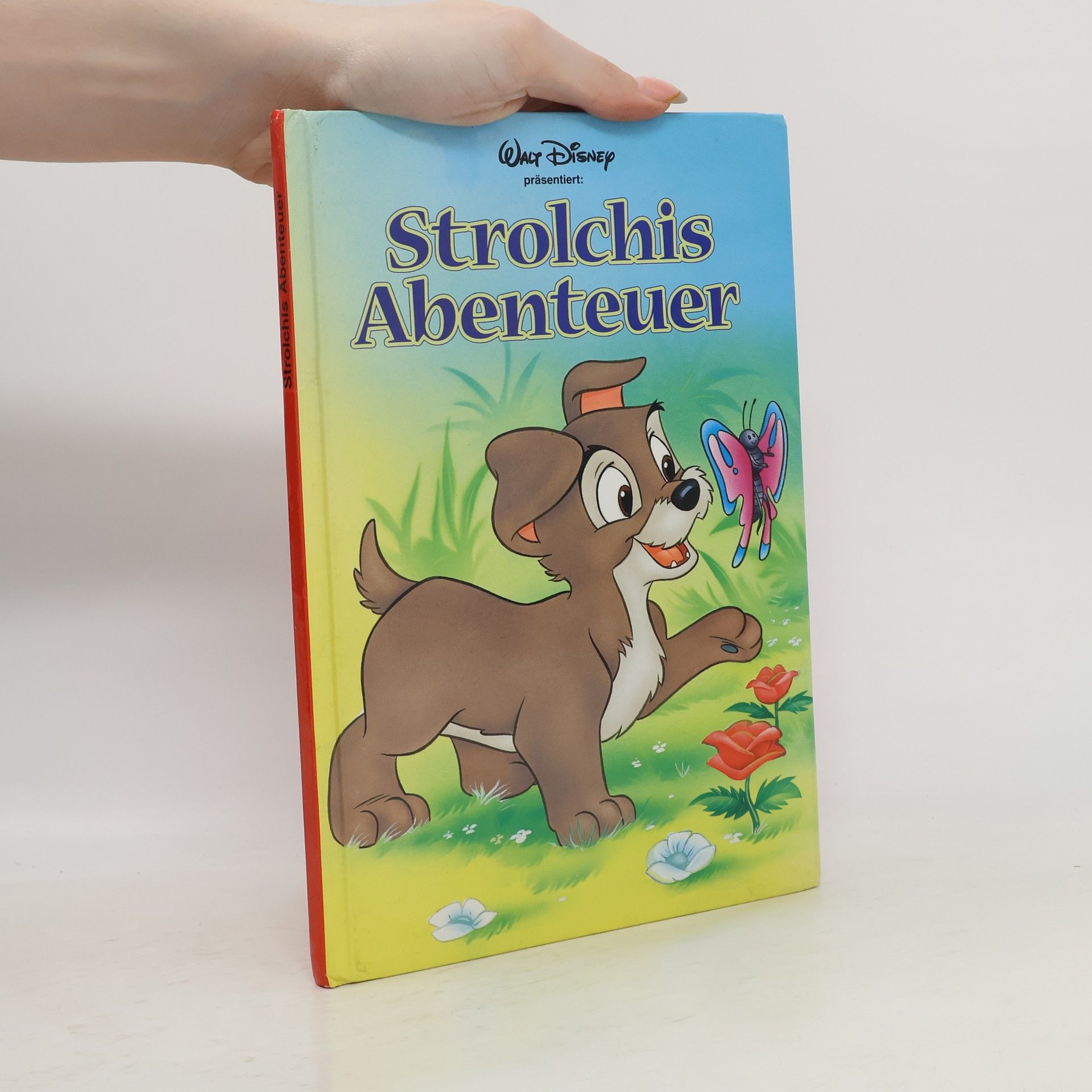 Autorenkollektiv Strolchis Abenteuer