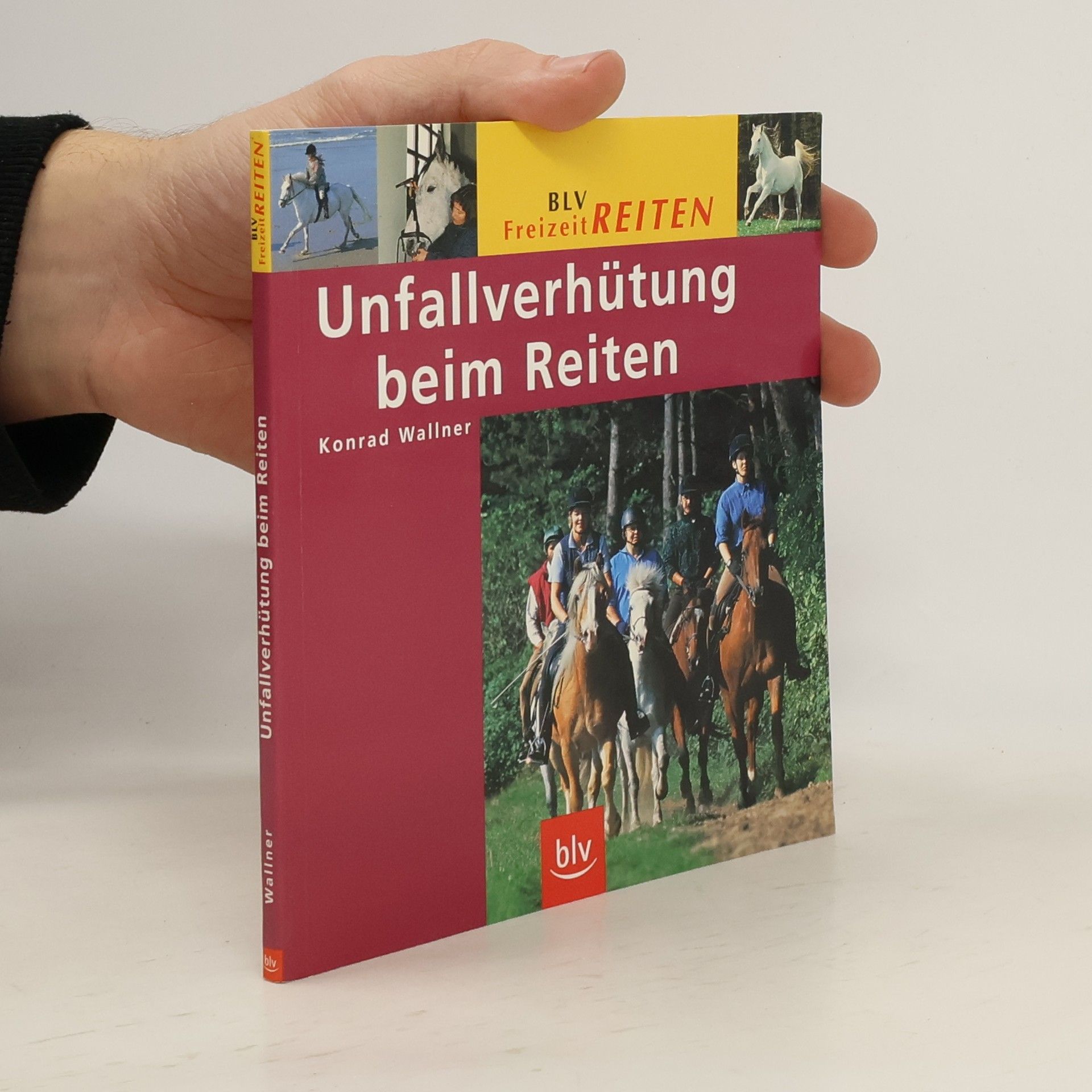 Konrad Wallner Unfallverhütung beim Reiten