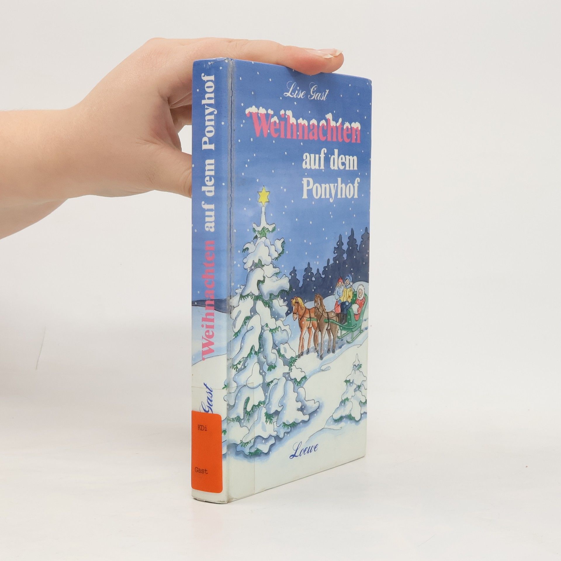 Lise Gast Weihnachten auf dem Ponyhof