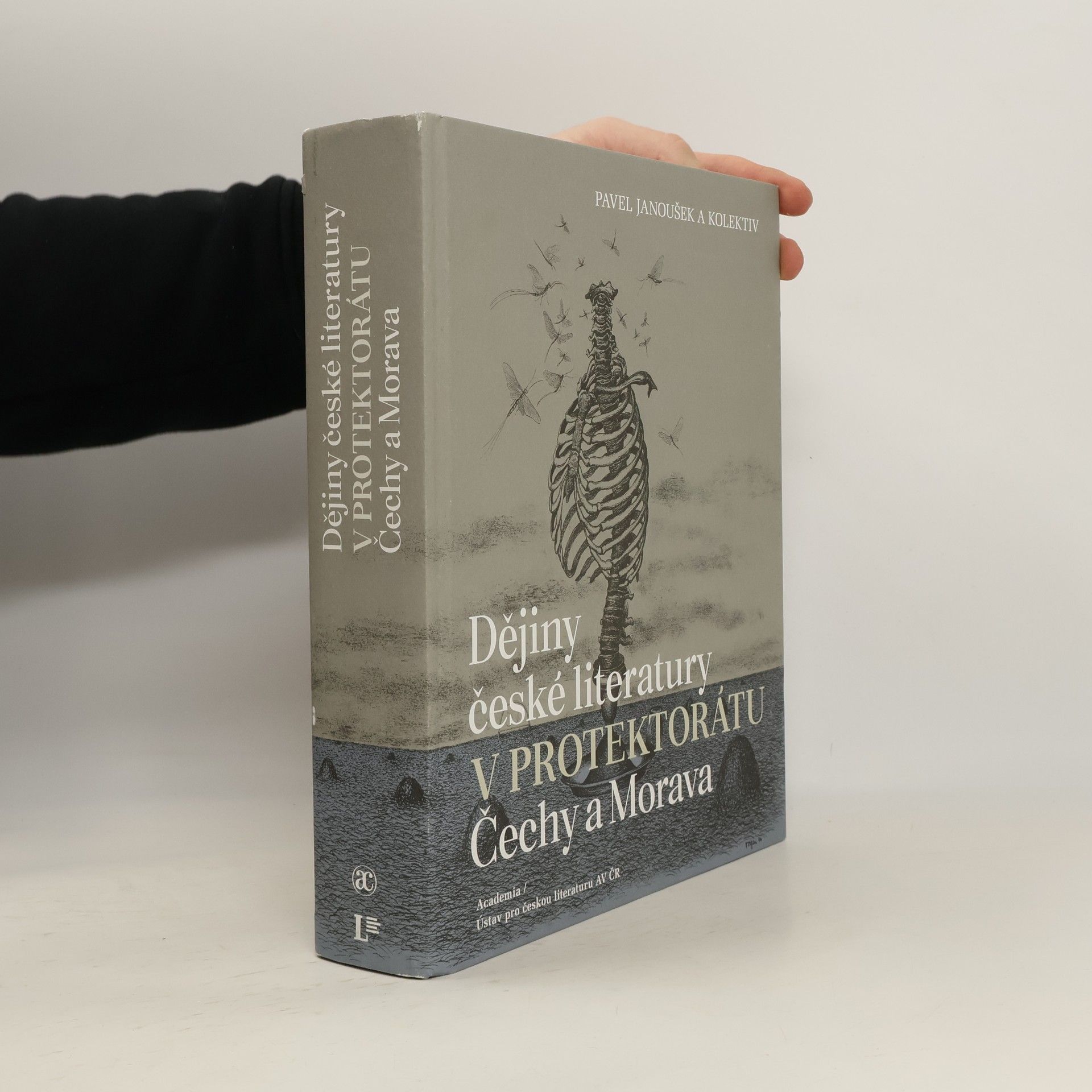 Dějiny české literatury v Protektorátu Čechy a Morava