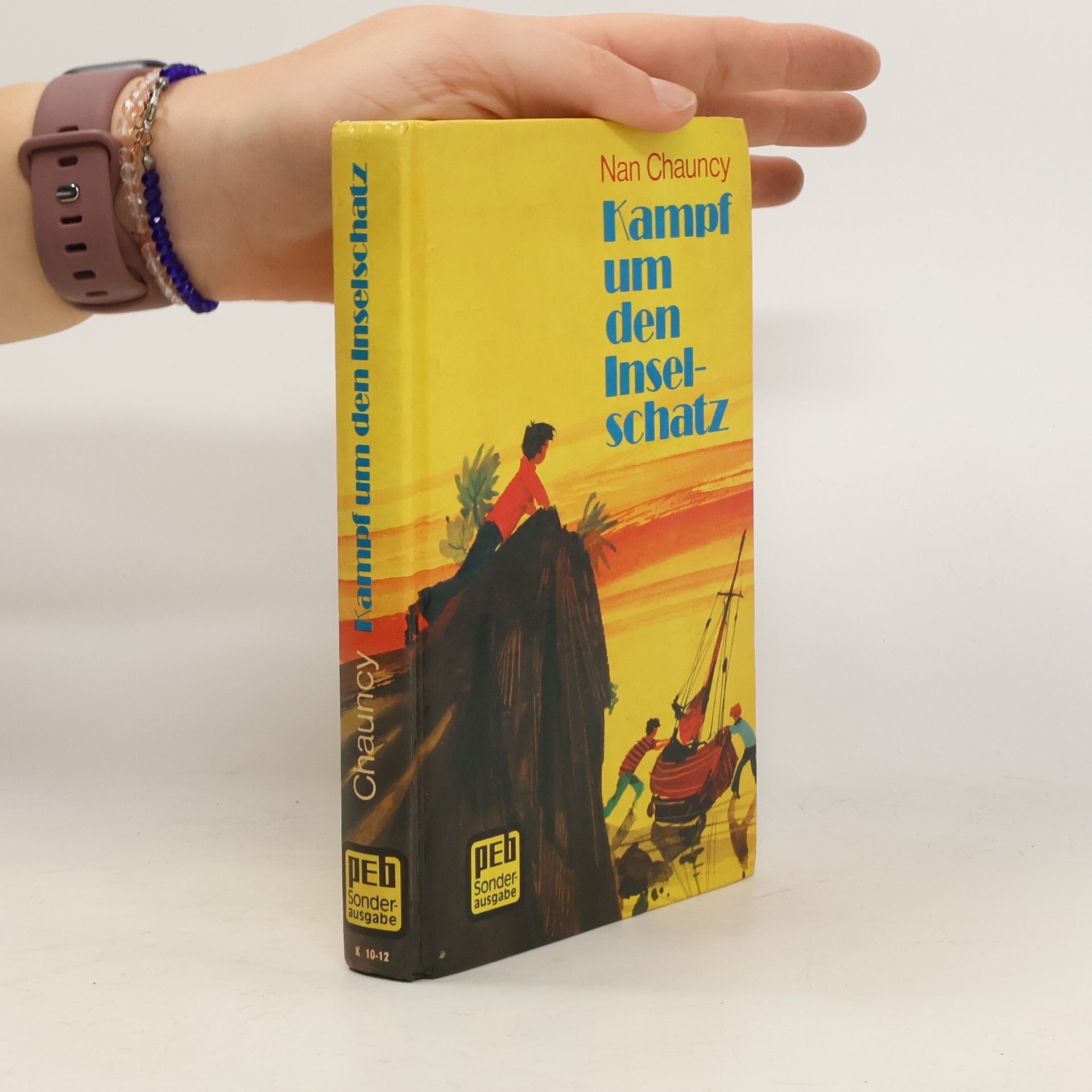 Nan Chauncy Kampf um den Inselschatz