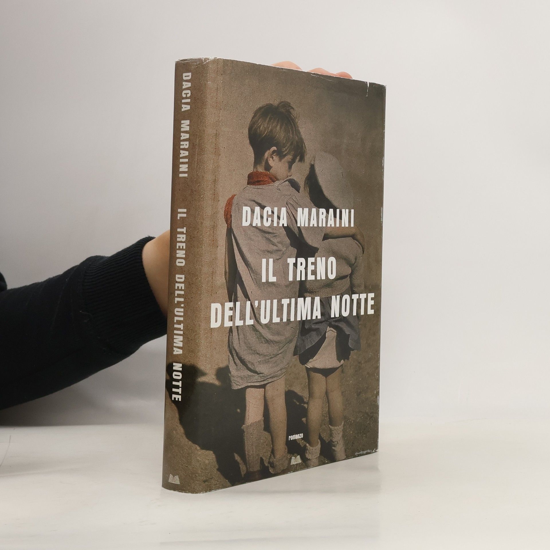 Dacia Maraini Il treno dell'ultima notte