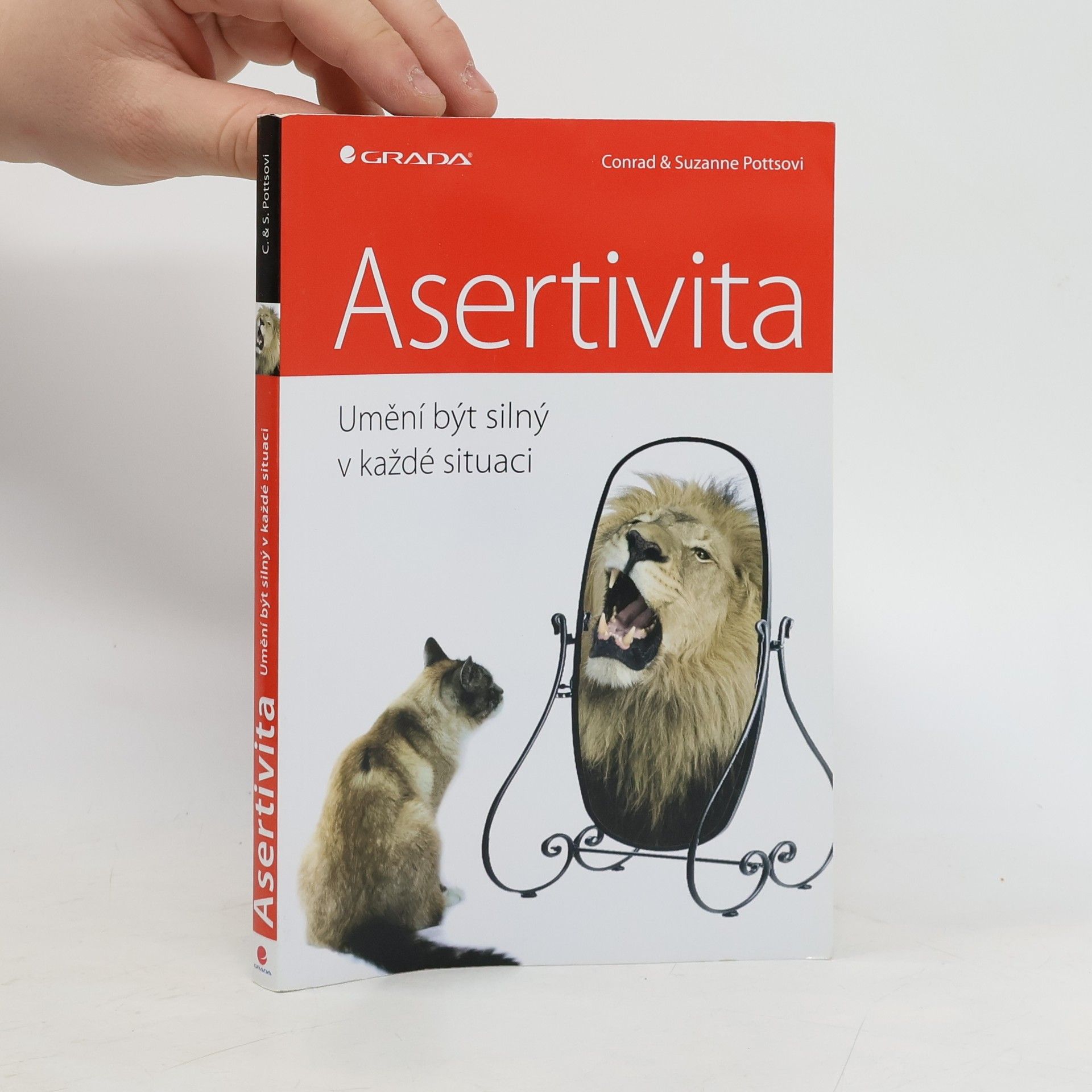 Asertivita: Umění být silný v každé situaci