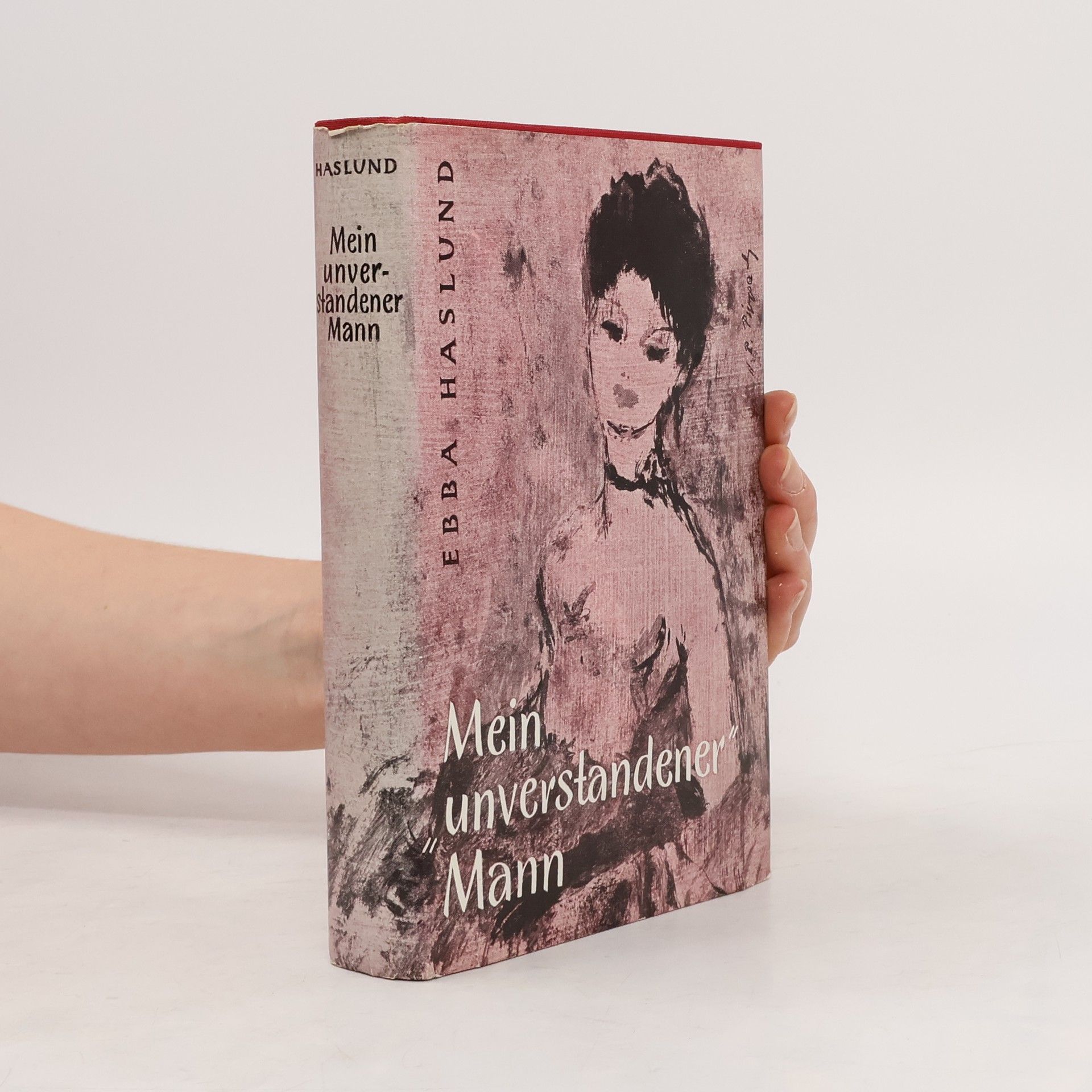 Ebba Haslund Mein unverstandener Mann