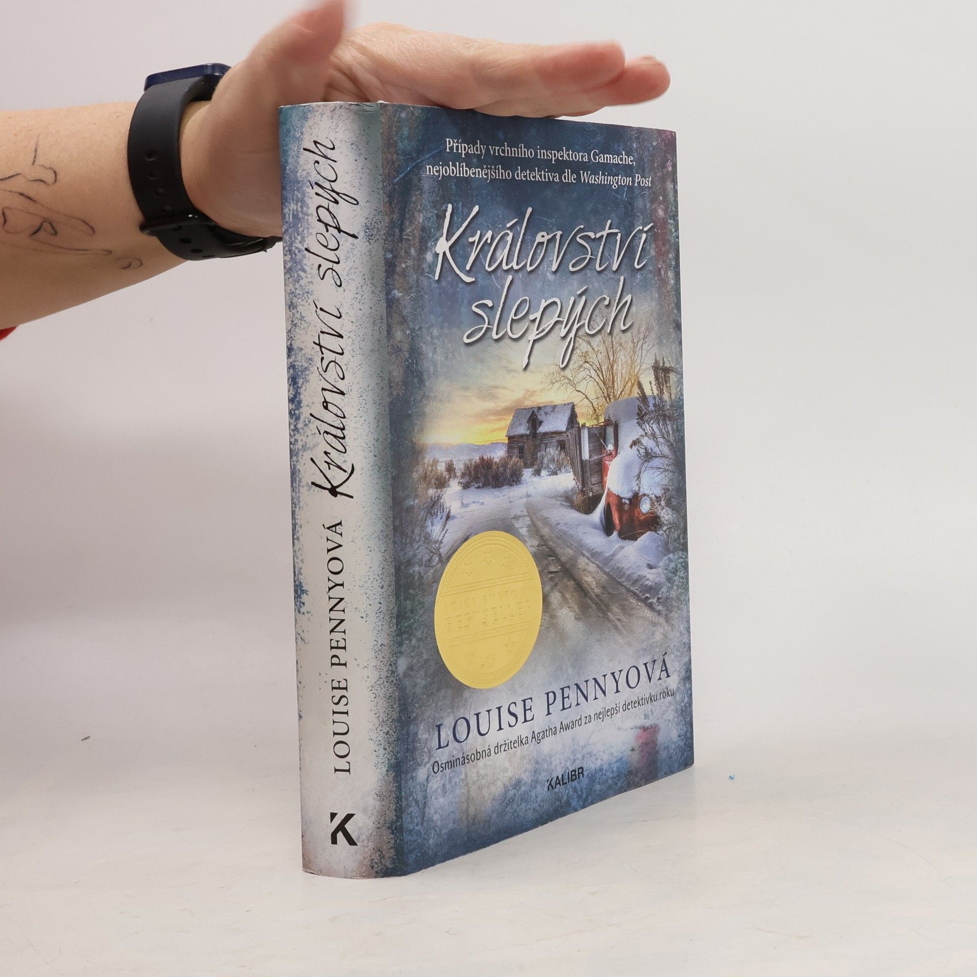 Louise Penny Království slepých