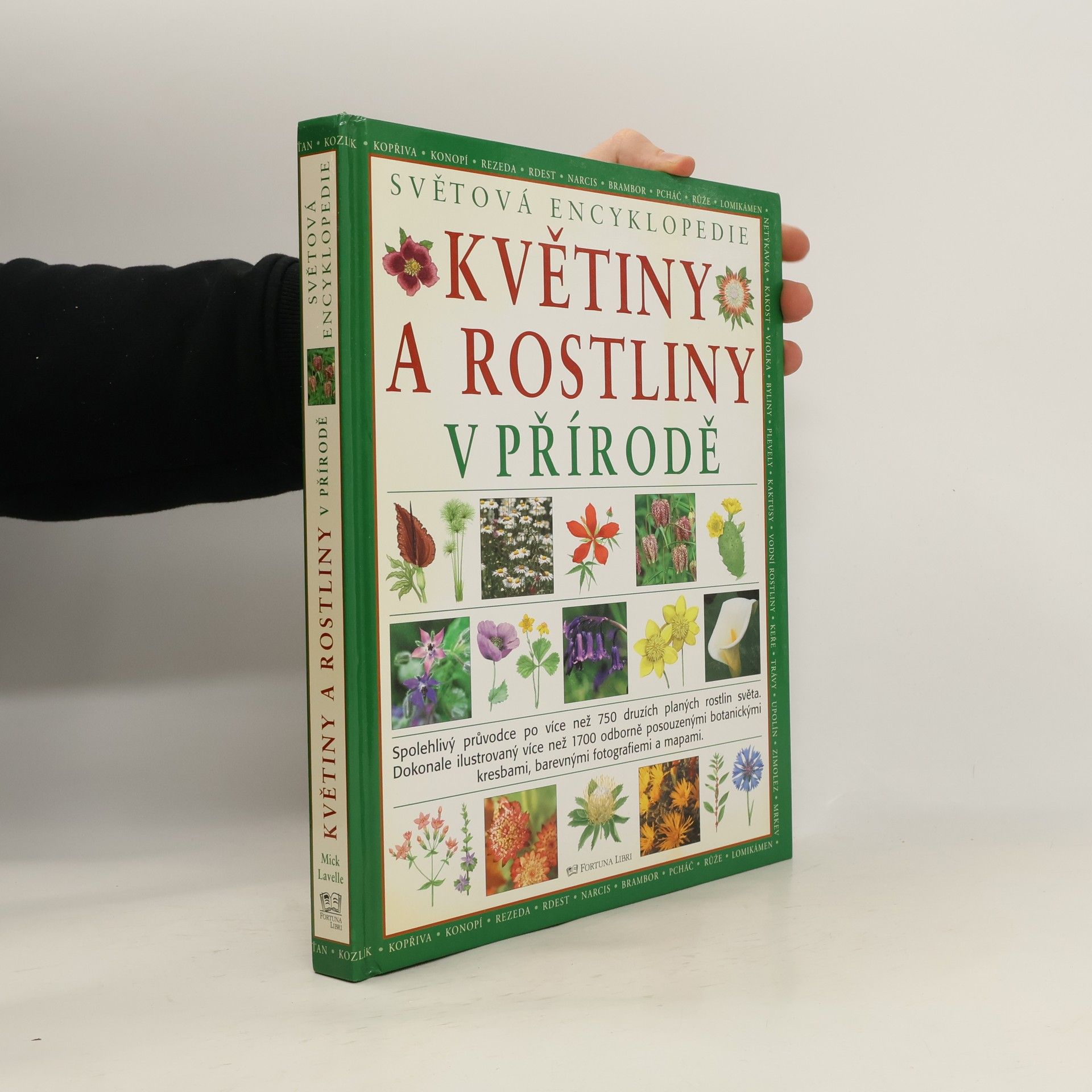 Mick Lavelle Květiny a rostliny v přírodě