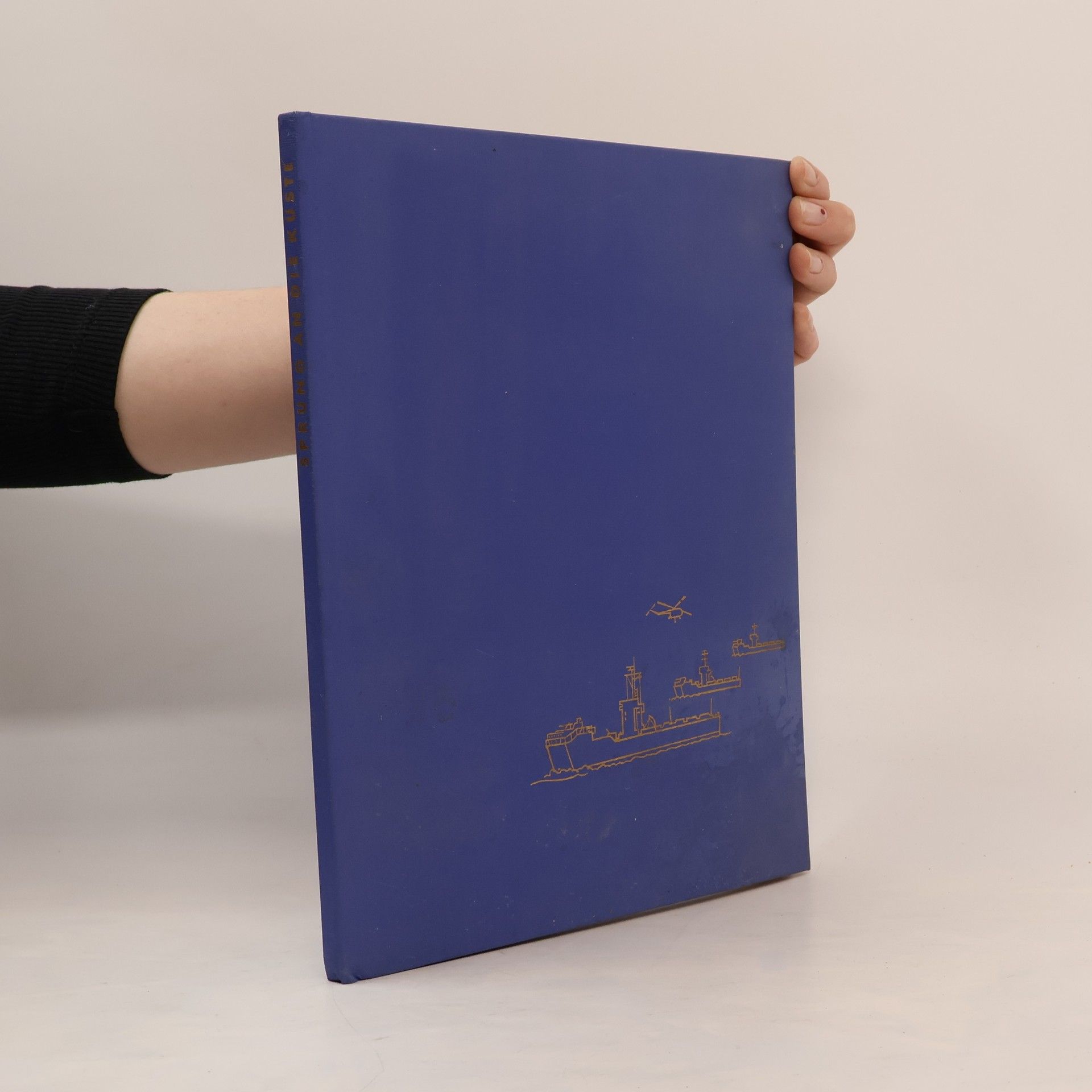 Sprung an die Küste