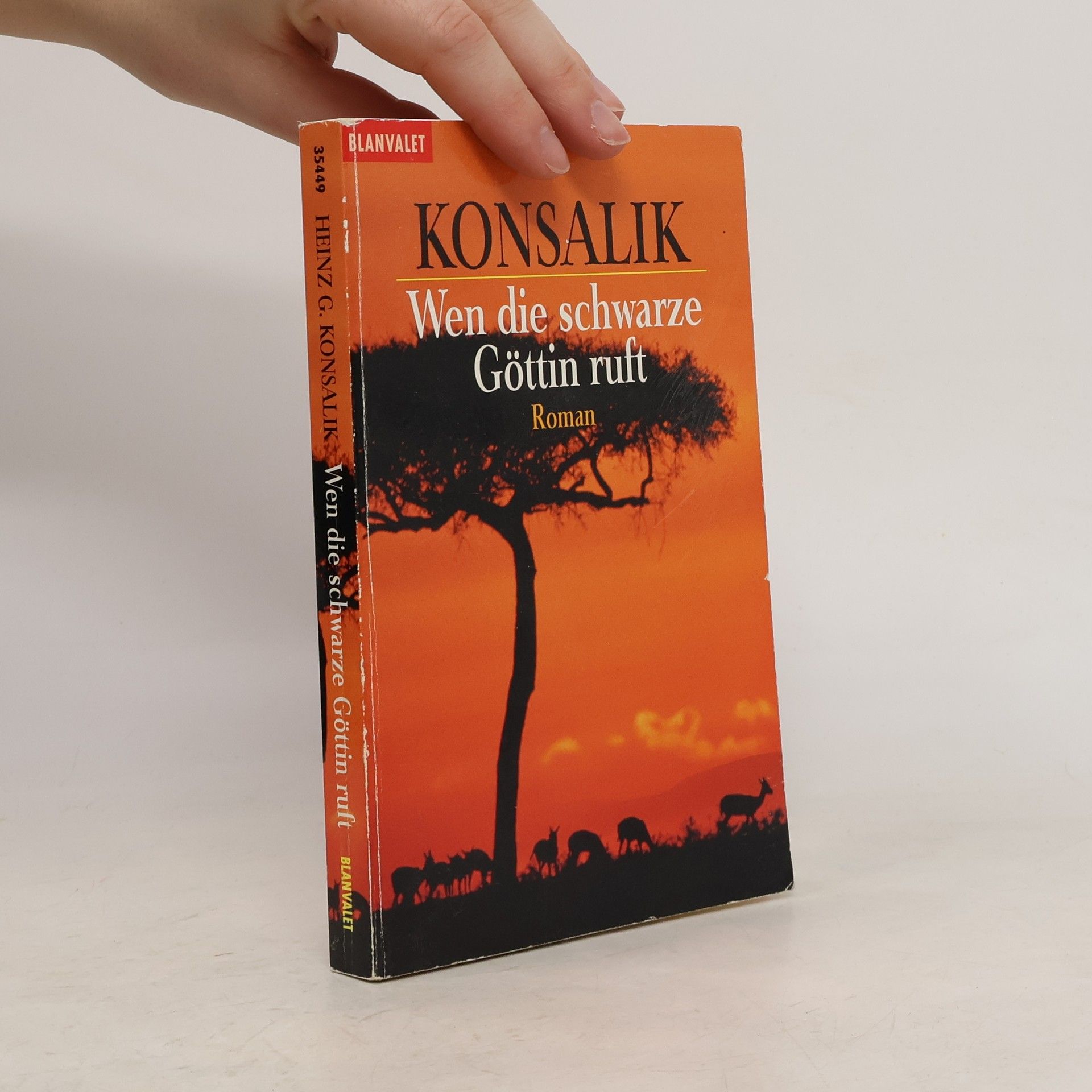 Heinz G. Konsalik Wen die schwarze Göttin ruft