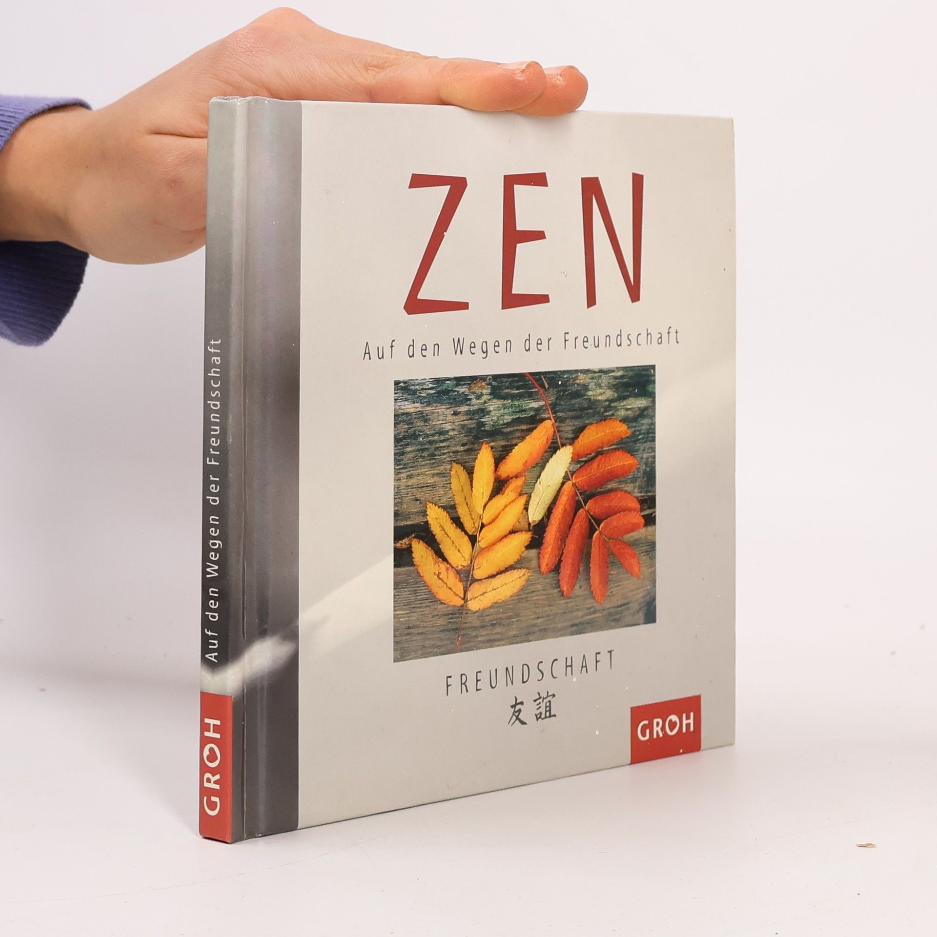 Naomi May Zen. Auf den Wegen der Freundschaft