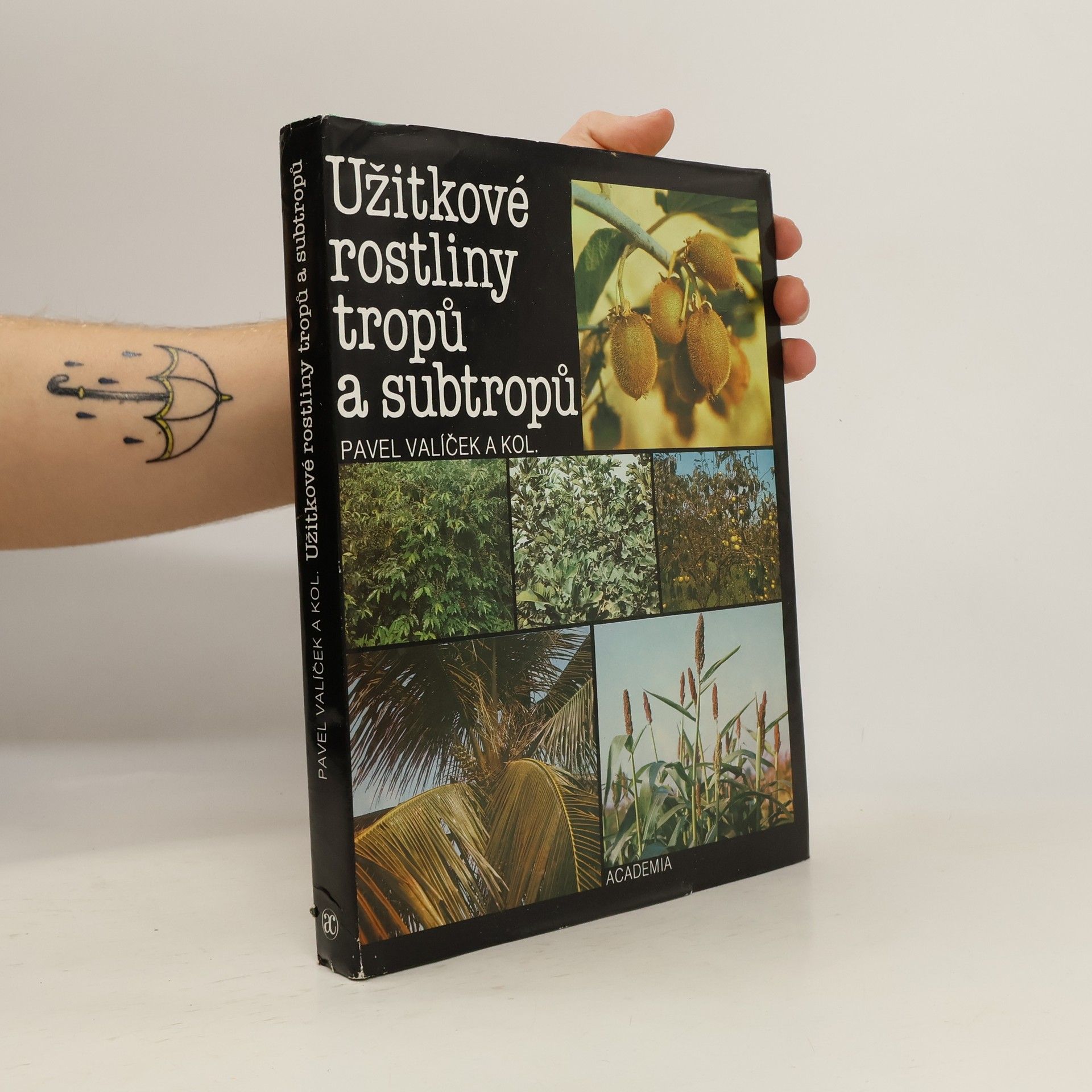 Pavel Valíček Užitkové rostliny tropů a subtropů