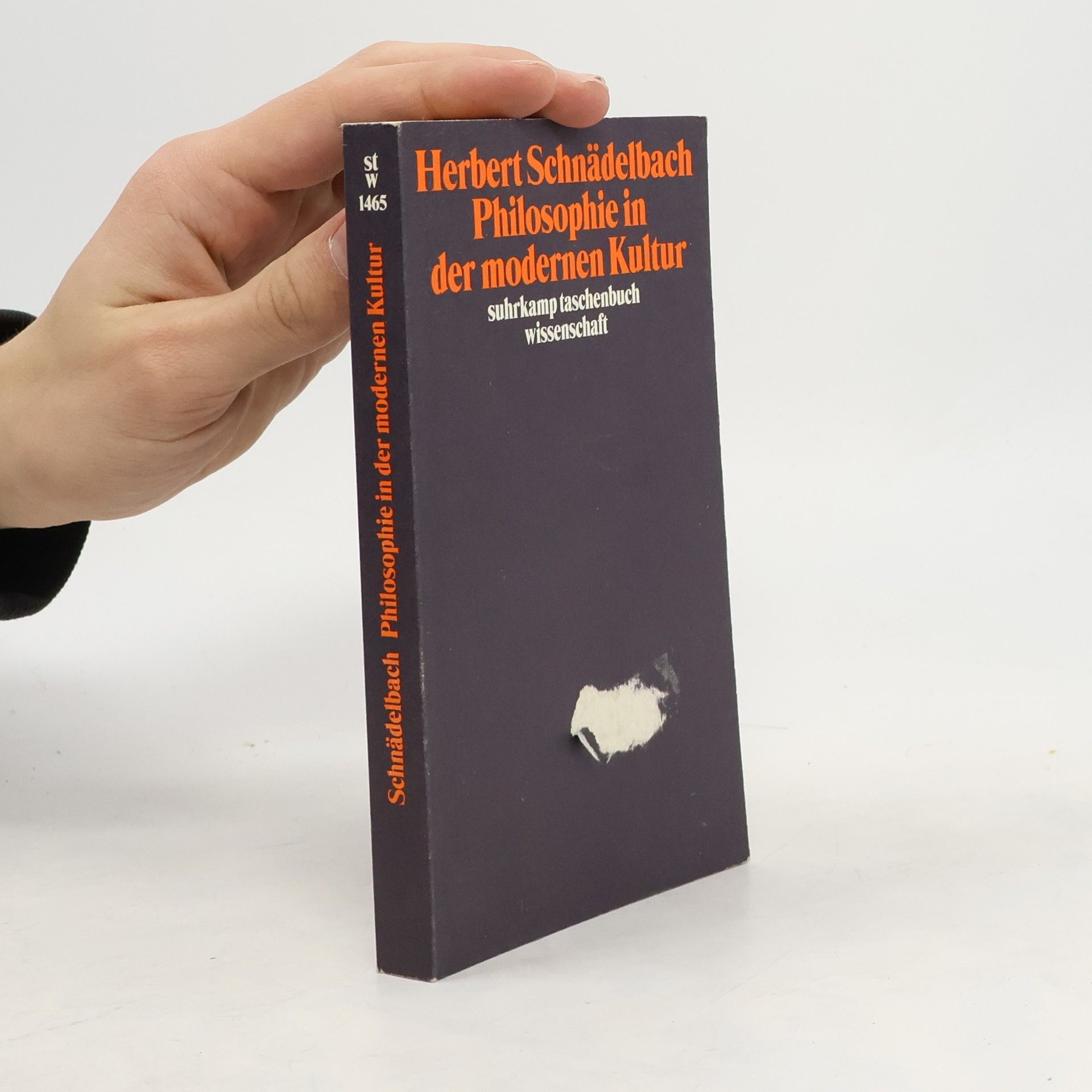 Herbert Schnädelbach Suhrkamp Taschenbuch Wissenschaft - 1465: Philosophie in der modernen Kultur