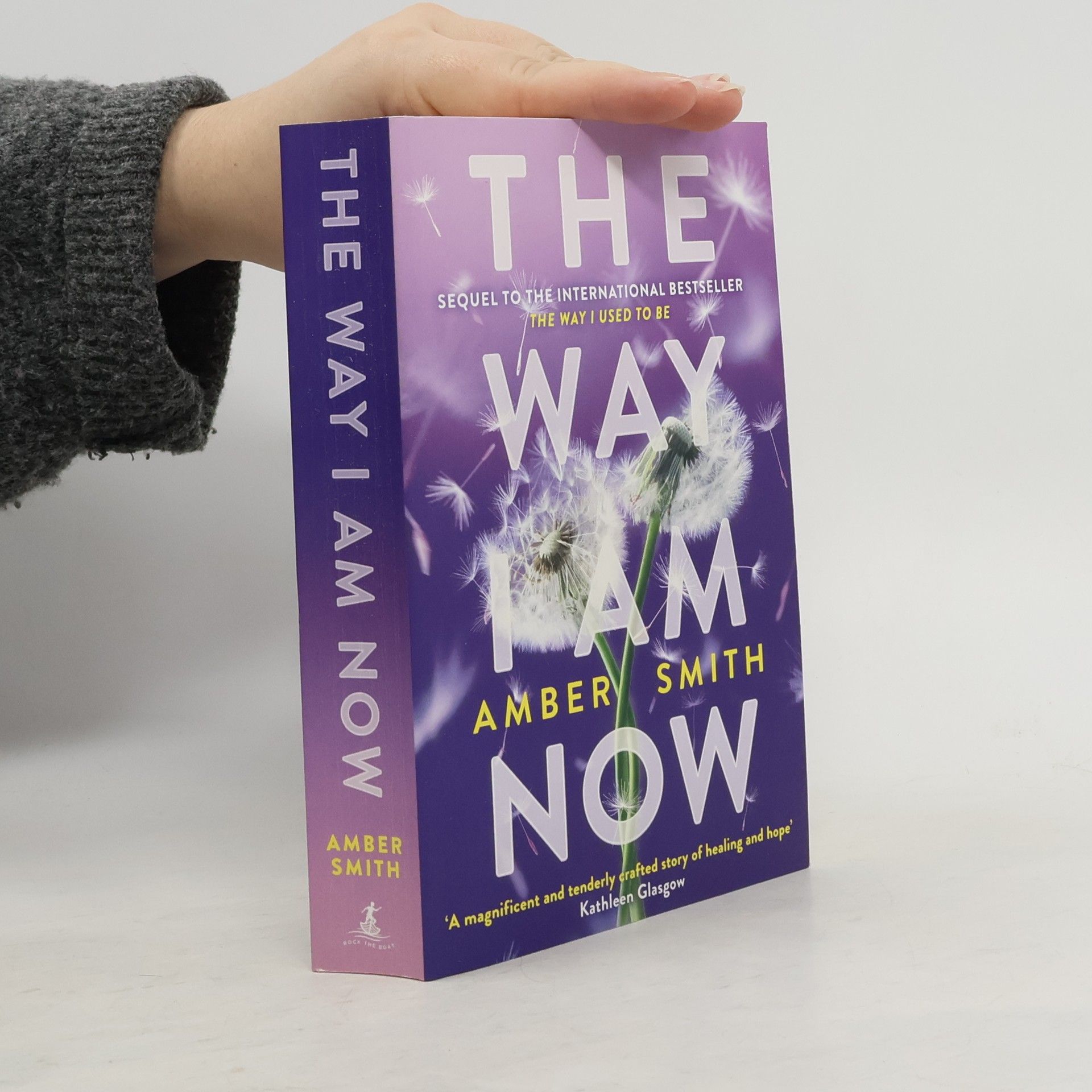 Amber Smith The Way I Am Now