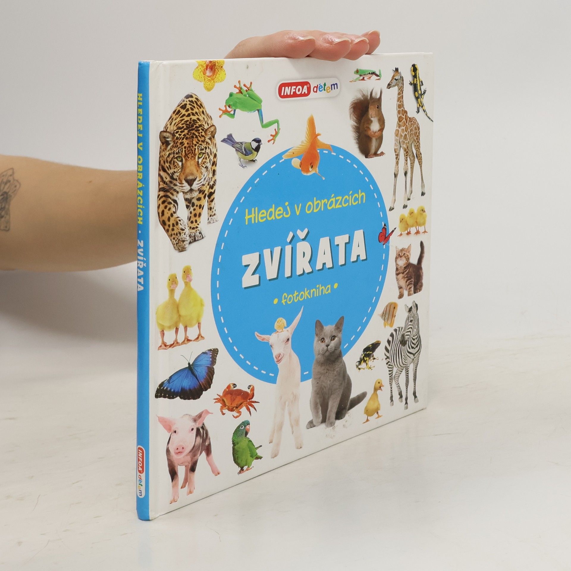 Autorenkollektiv Hledej v obrázcích. Zvířata : fotokniha