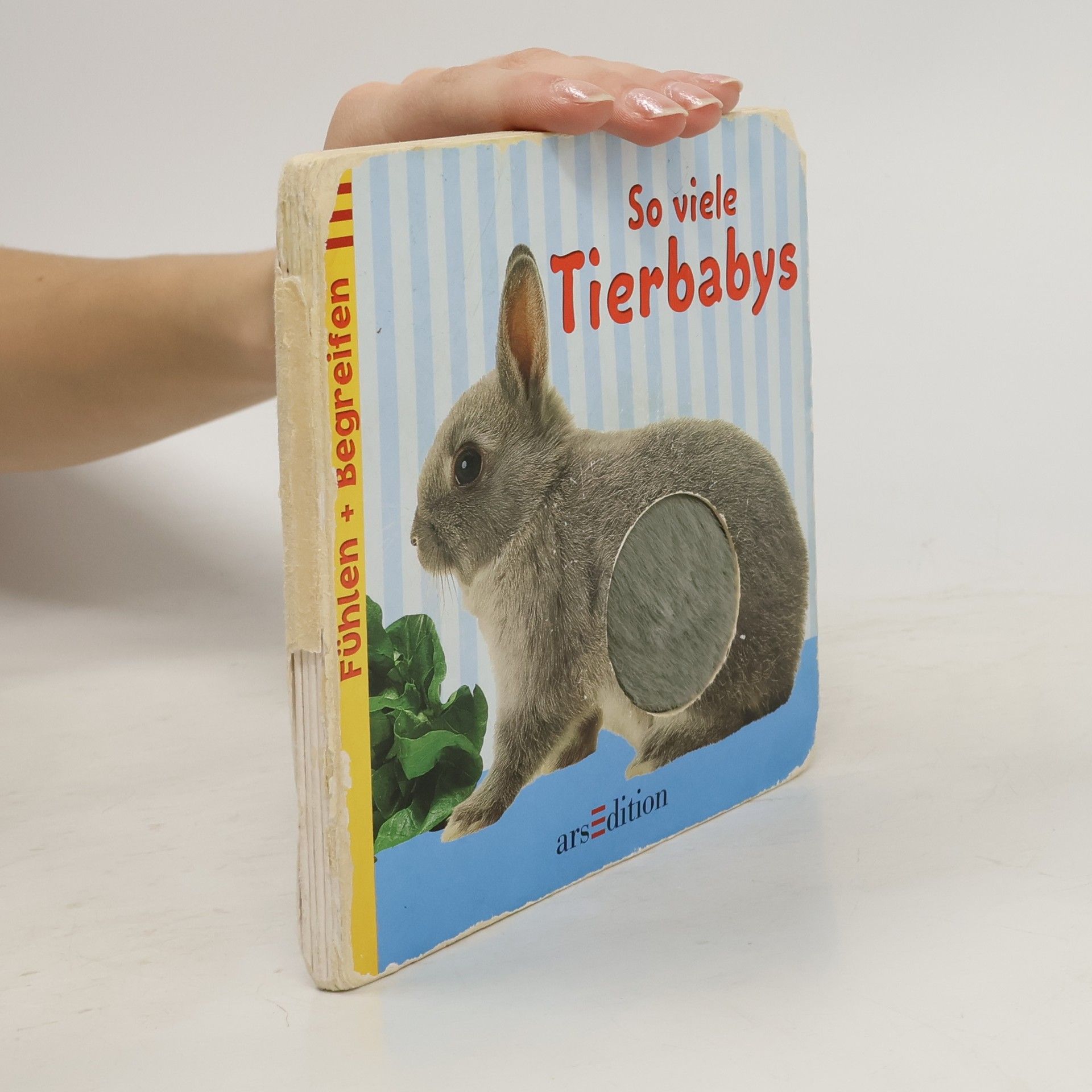 Kolektiv autorů So viele Tierbabys