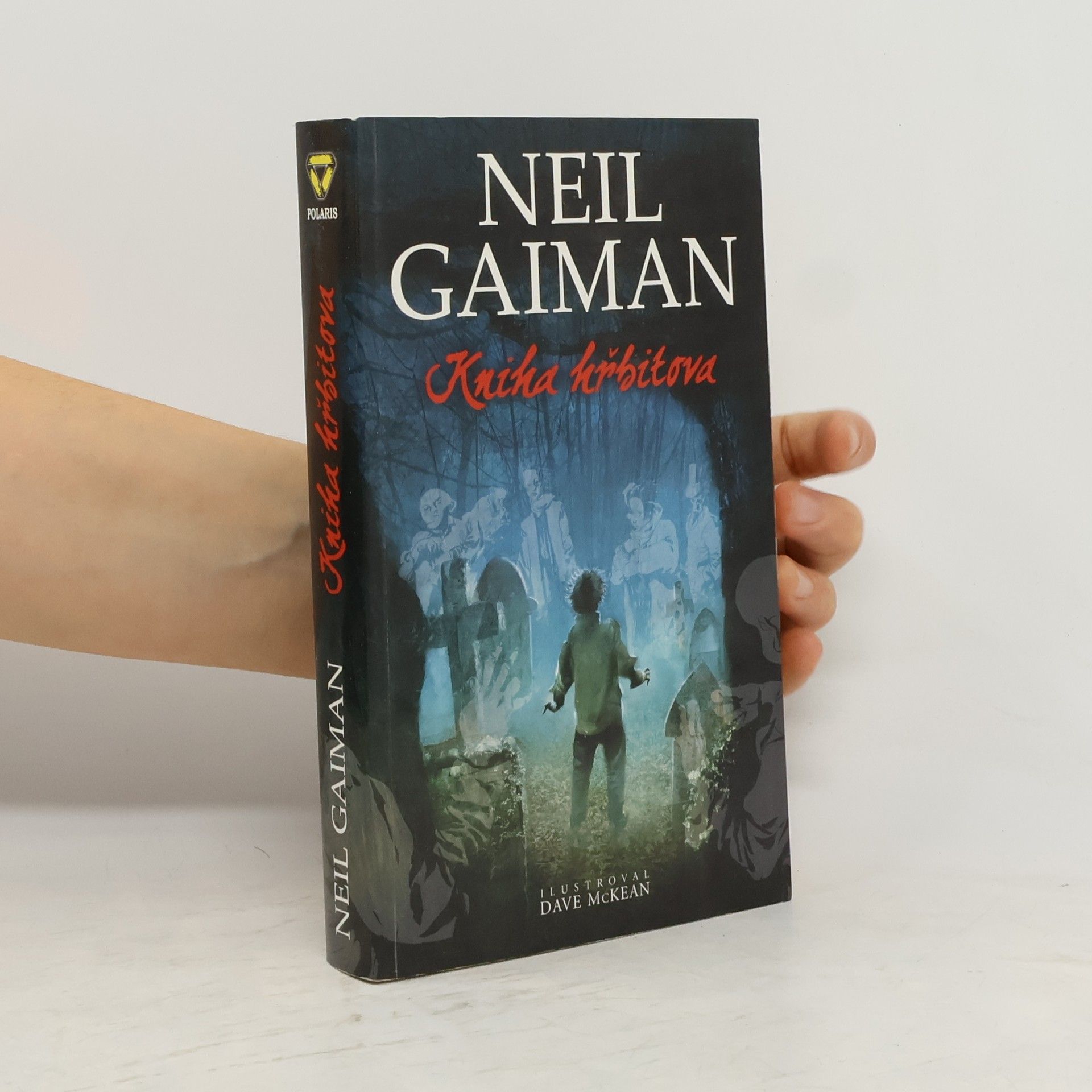 Neil Gaiman Kniha hřbitova