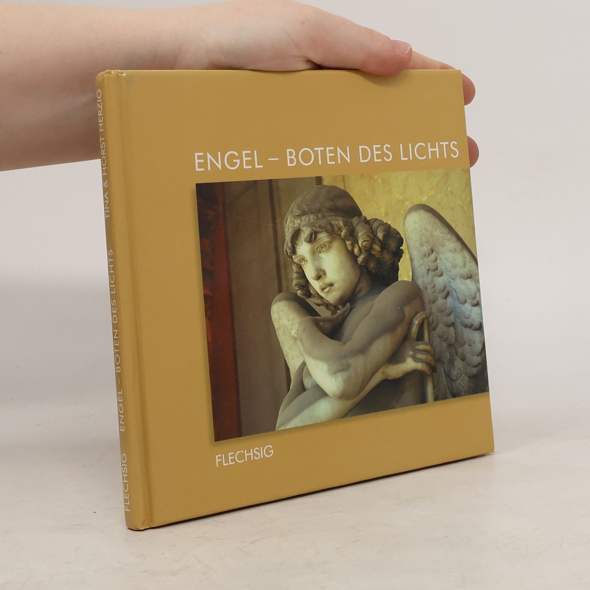 Engel - Boten des Lichts