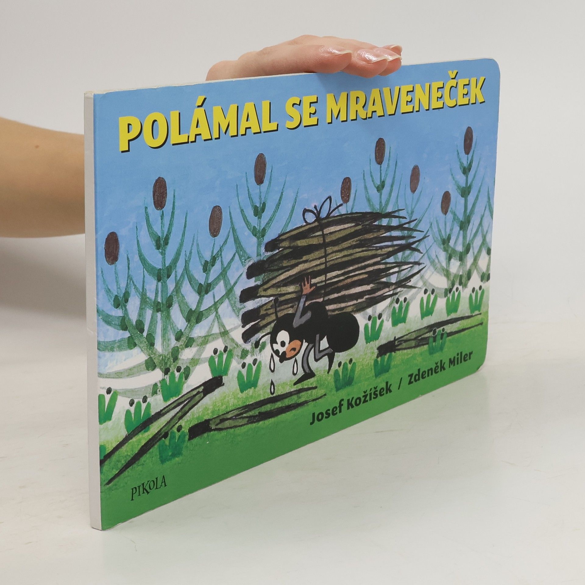 Polámal se mraveneček